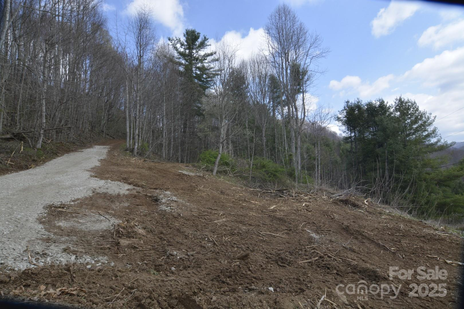 220 Screaming Eagle Drive - Photo 9