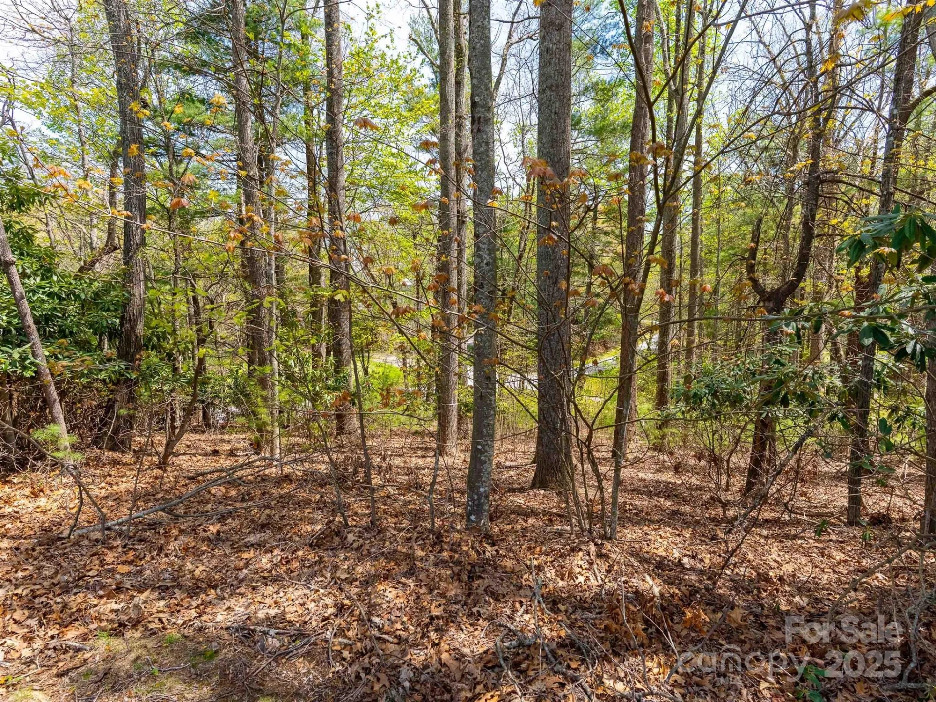 180 Pine Shadow Drive #287 - Photo 12