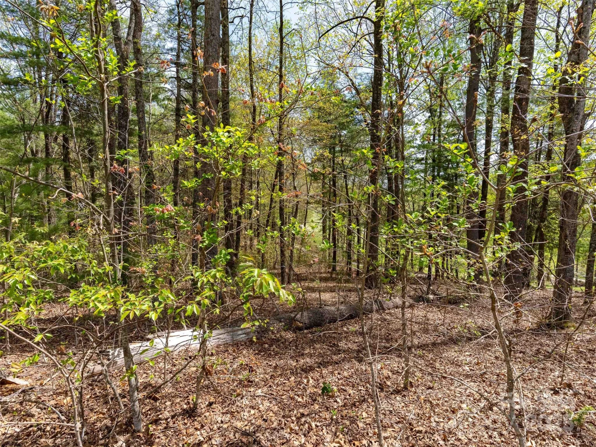 180 Pine Shadow Drive #287 - Photo 13