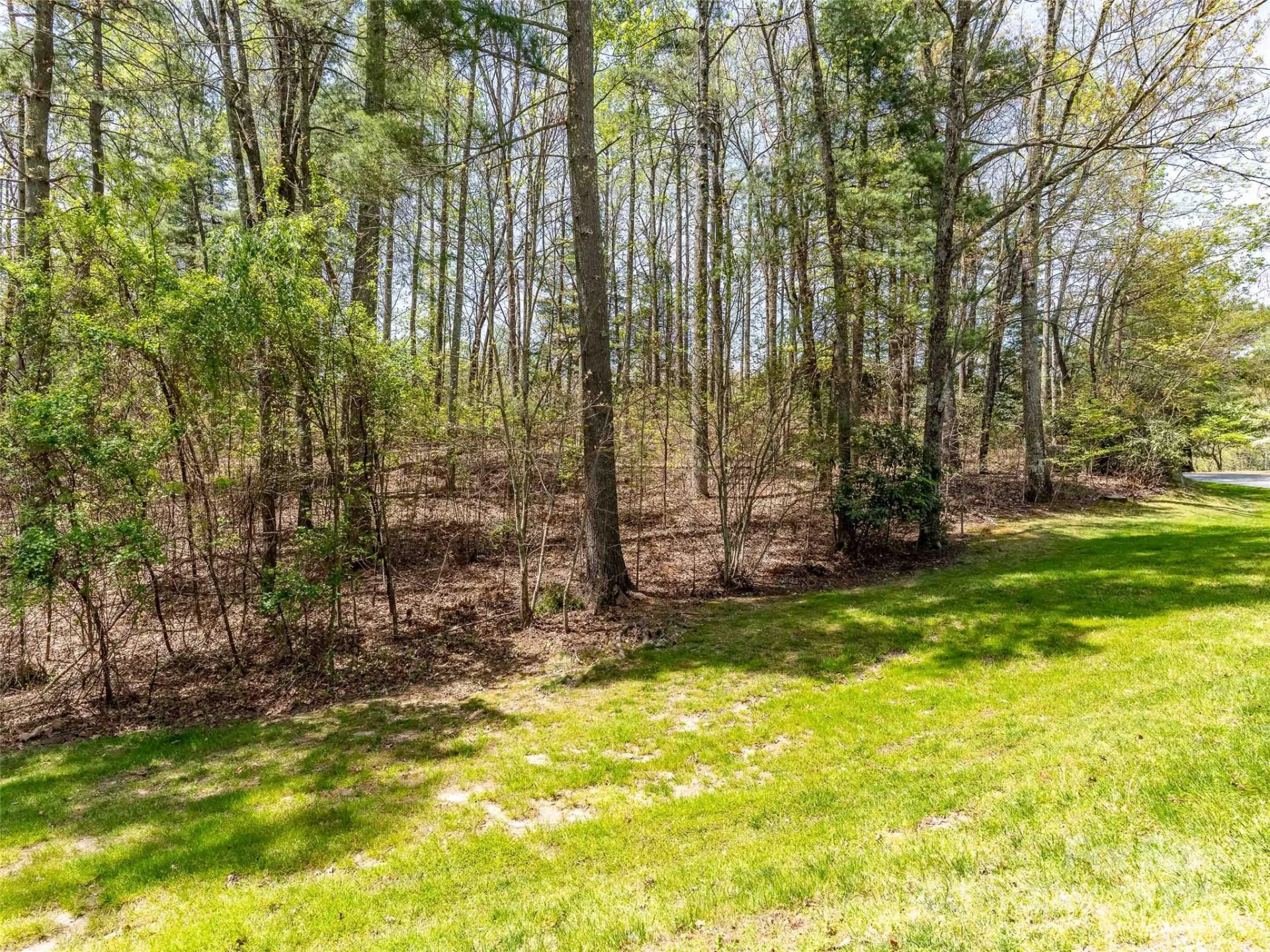 180 Pine Shadow Drive #287 - Photo 14