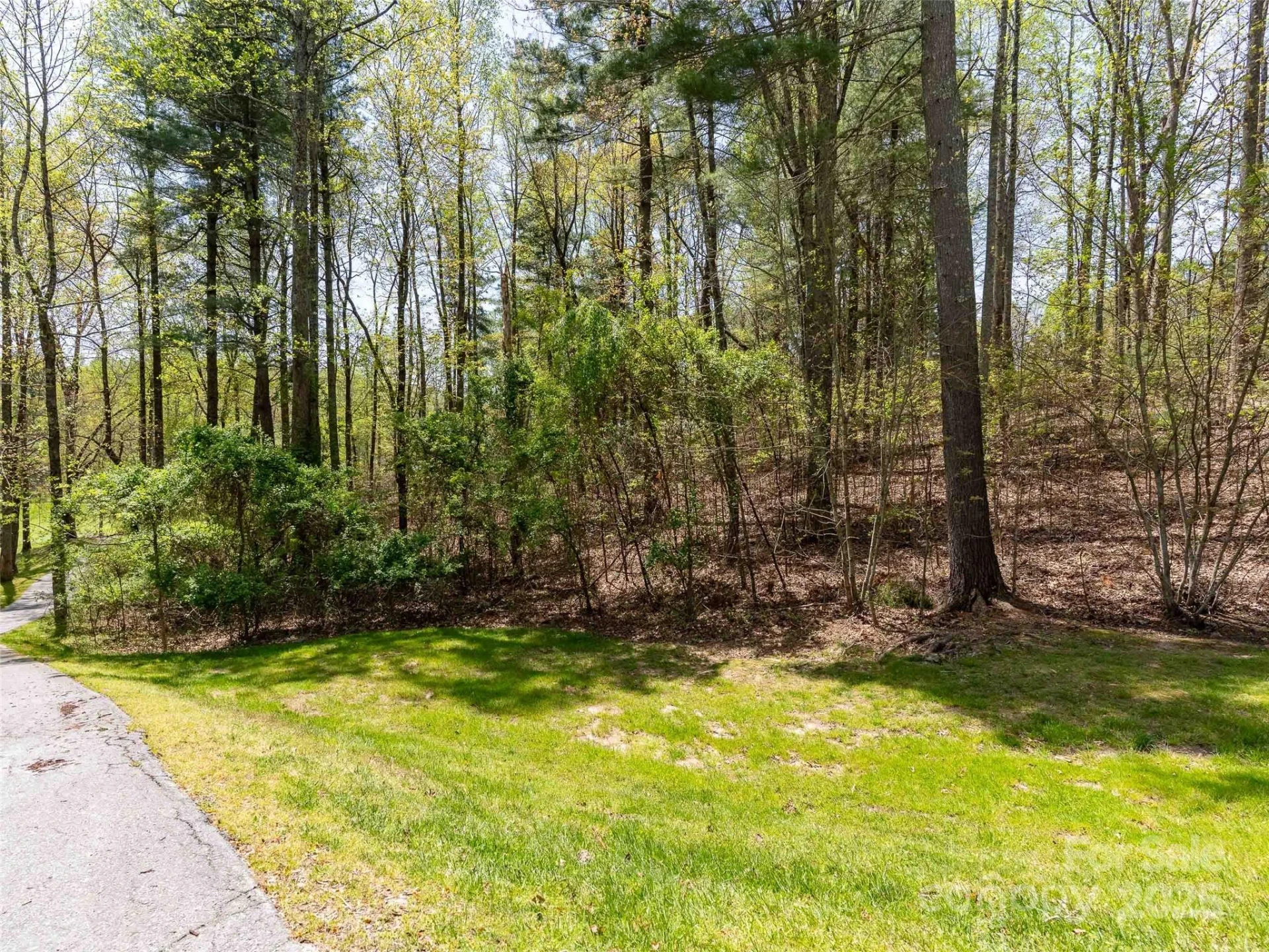 180 Pine Shadow Drive #287 - Photo 15