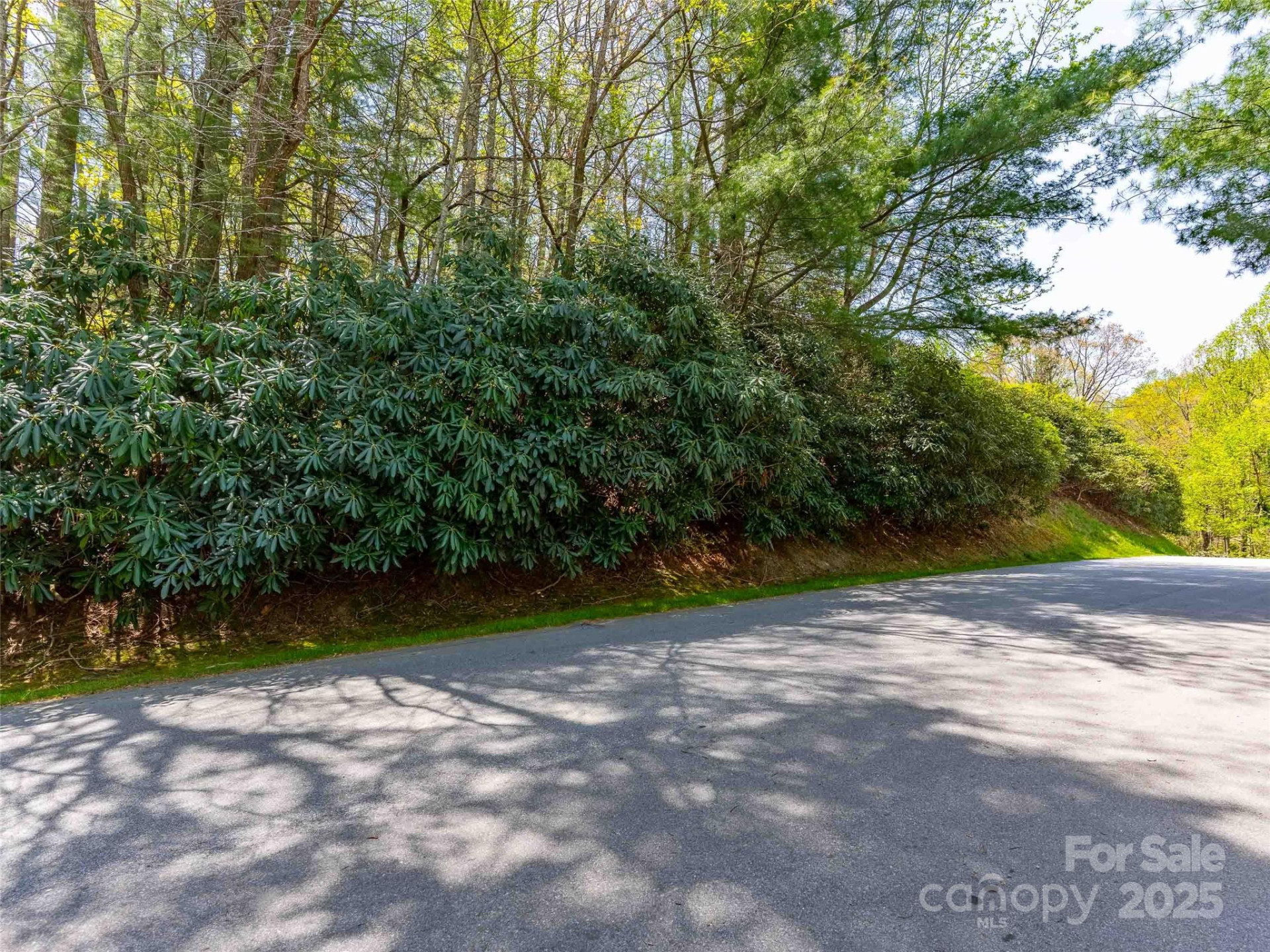 180 Pine Shadow Drive #287 - Photo 16