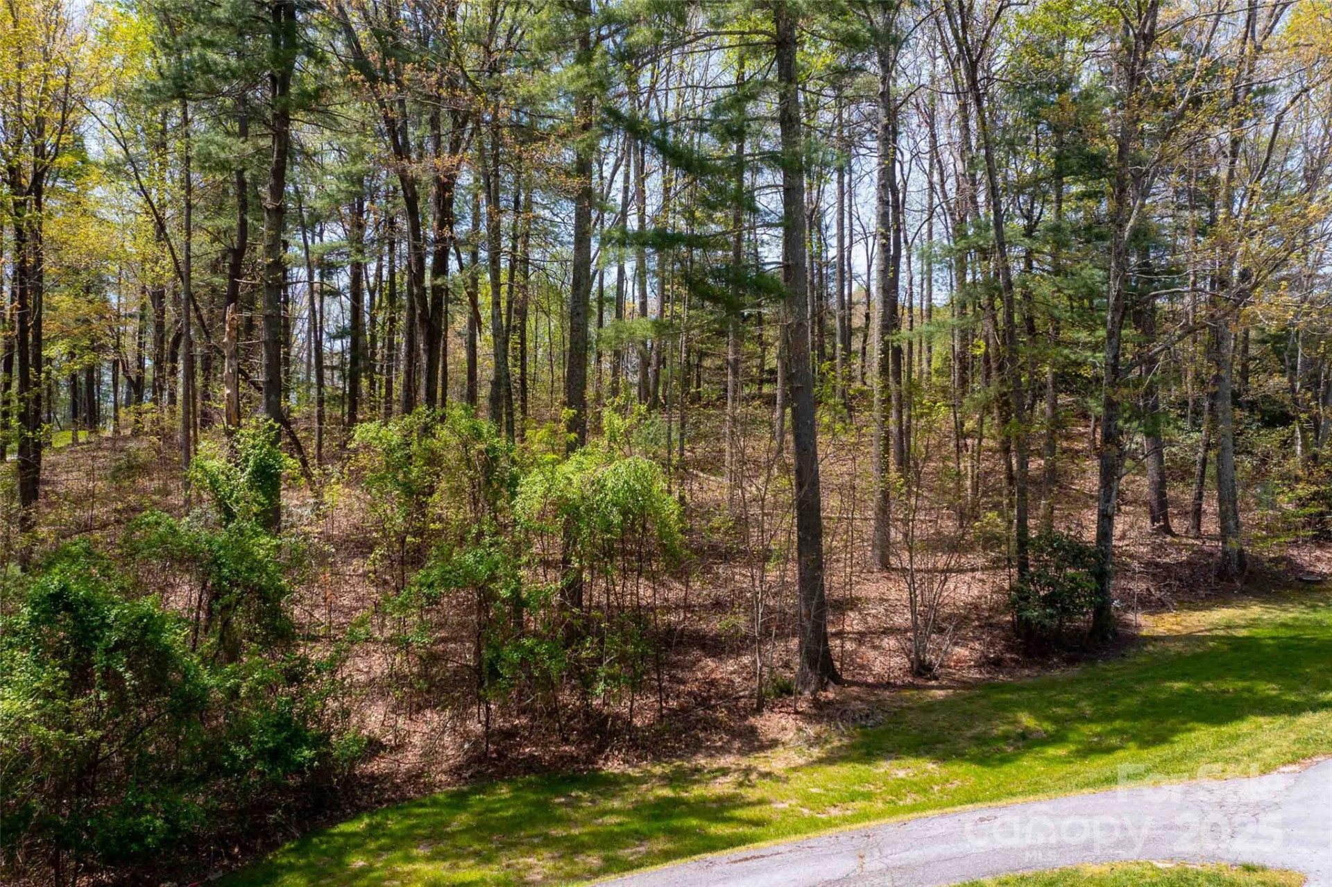 180 Pine Shadow Drive #287 - Photo 18
