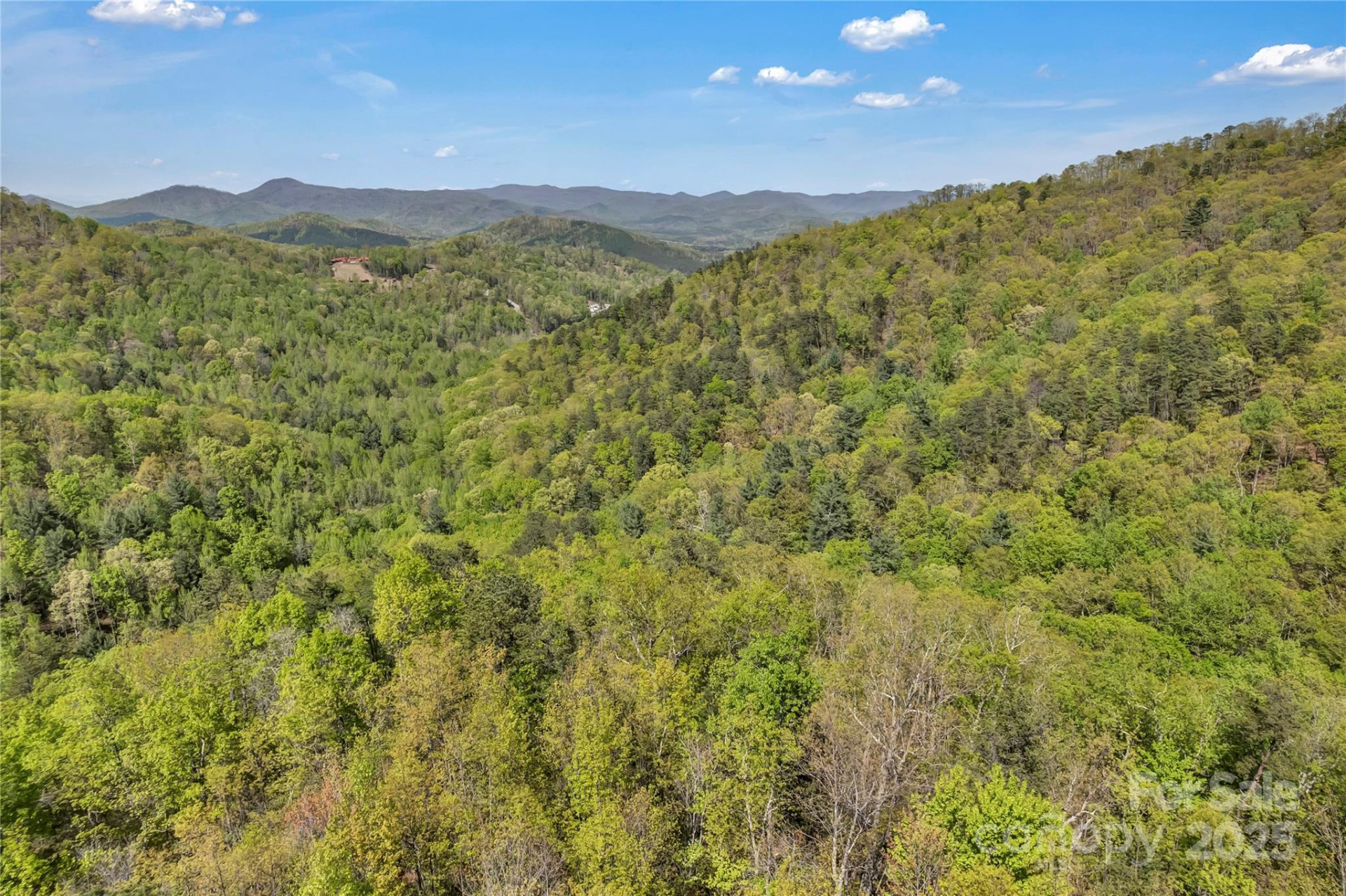 231 Brighton Drive - Photo 2