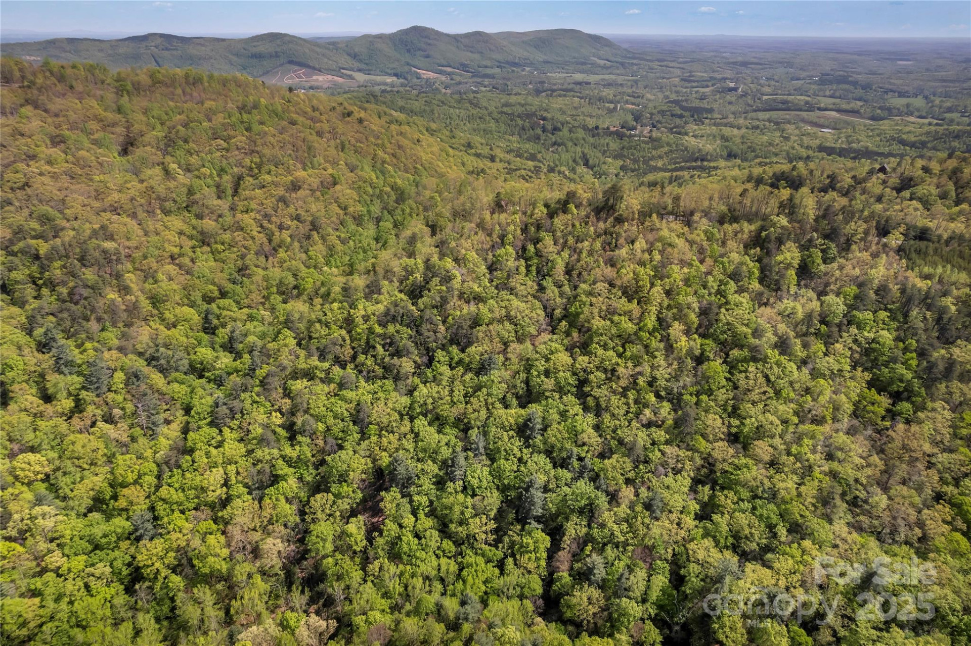 231 Brighton Drive - Photo 19