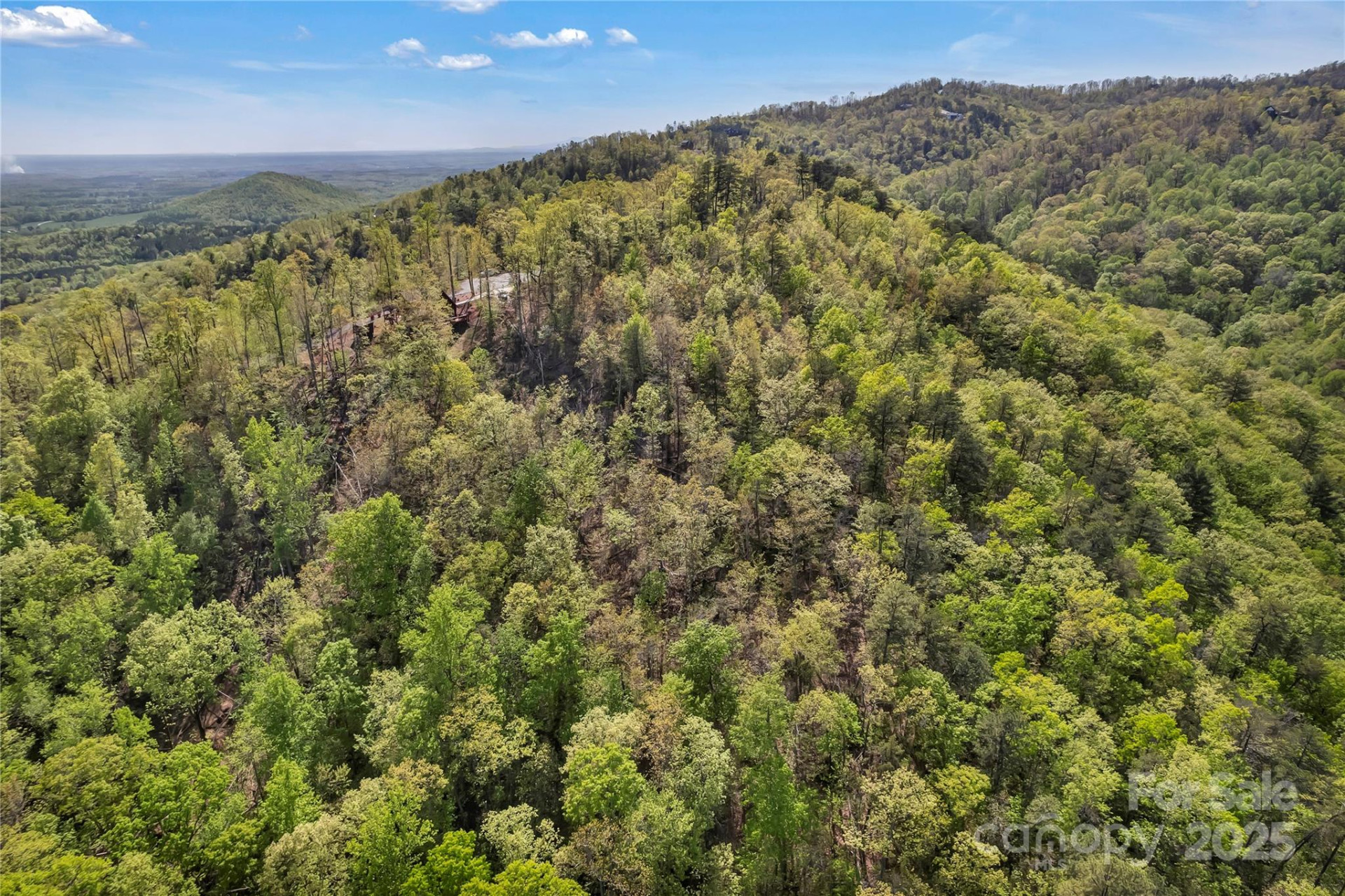 231 Brighton Drive - Photo 4