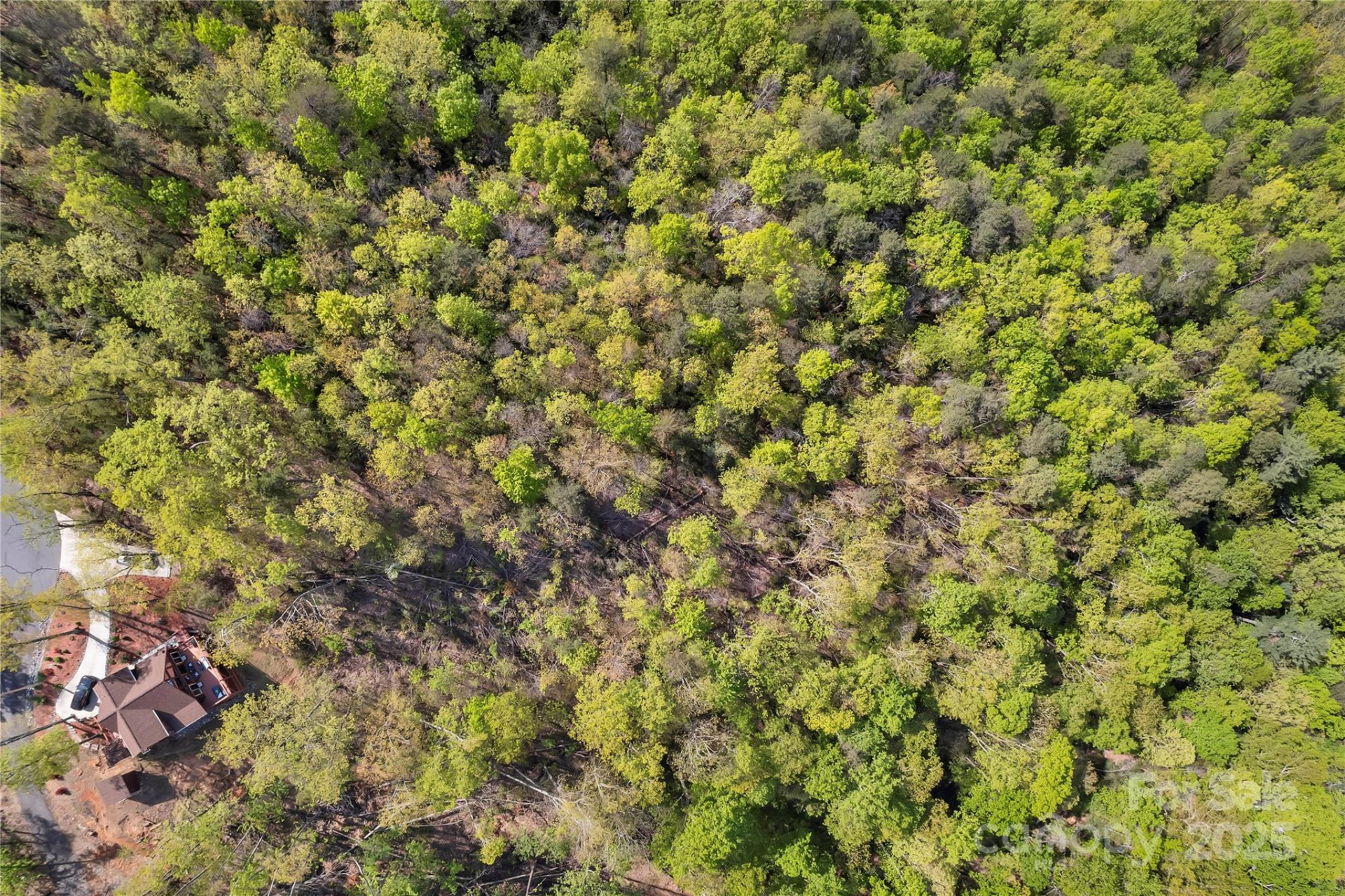 231 Brighton Drive - Photo 5