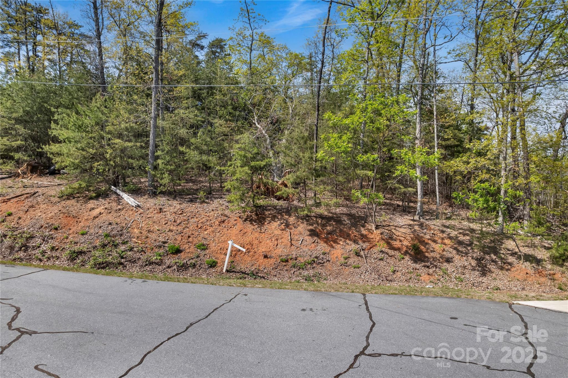 231 Brighton Drive - Photo 6