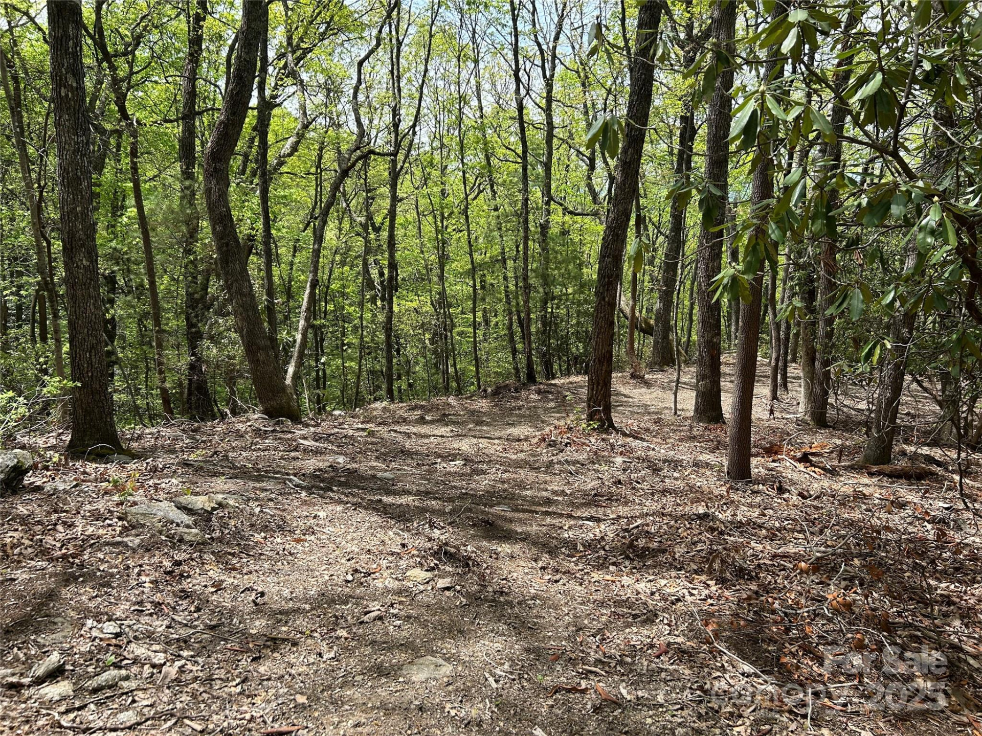 000 John Delk Road #2&6 - Photo 2