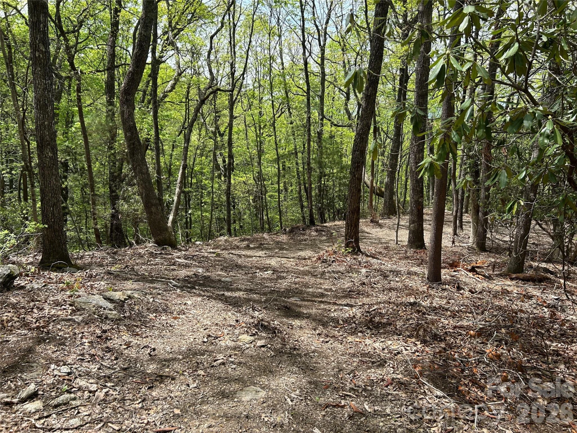 000 John Delk Road #2&6 - Photo 3