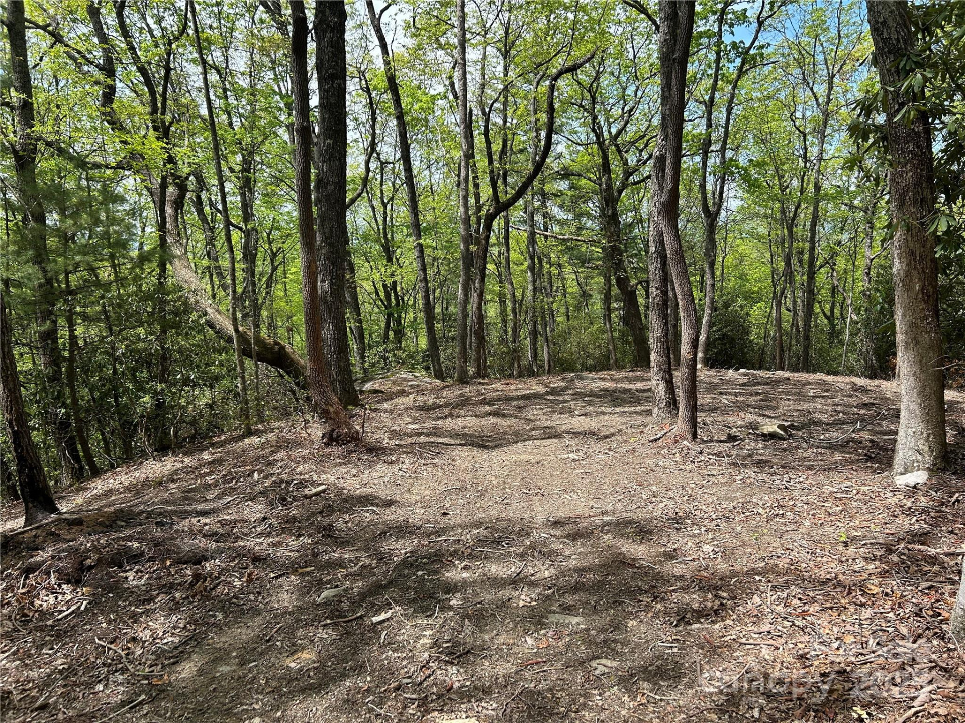 000 John Delk Road #2&6 - Photo 3