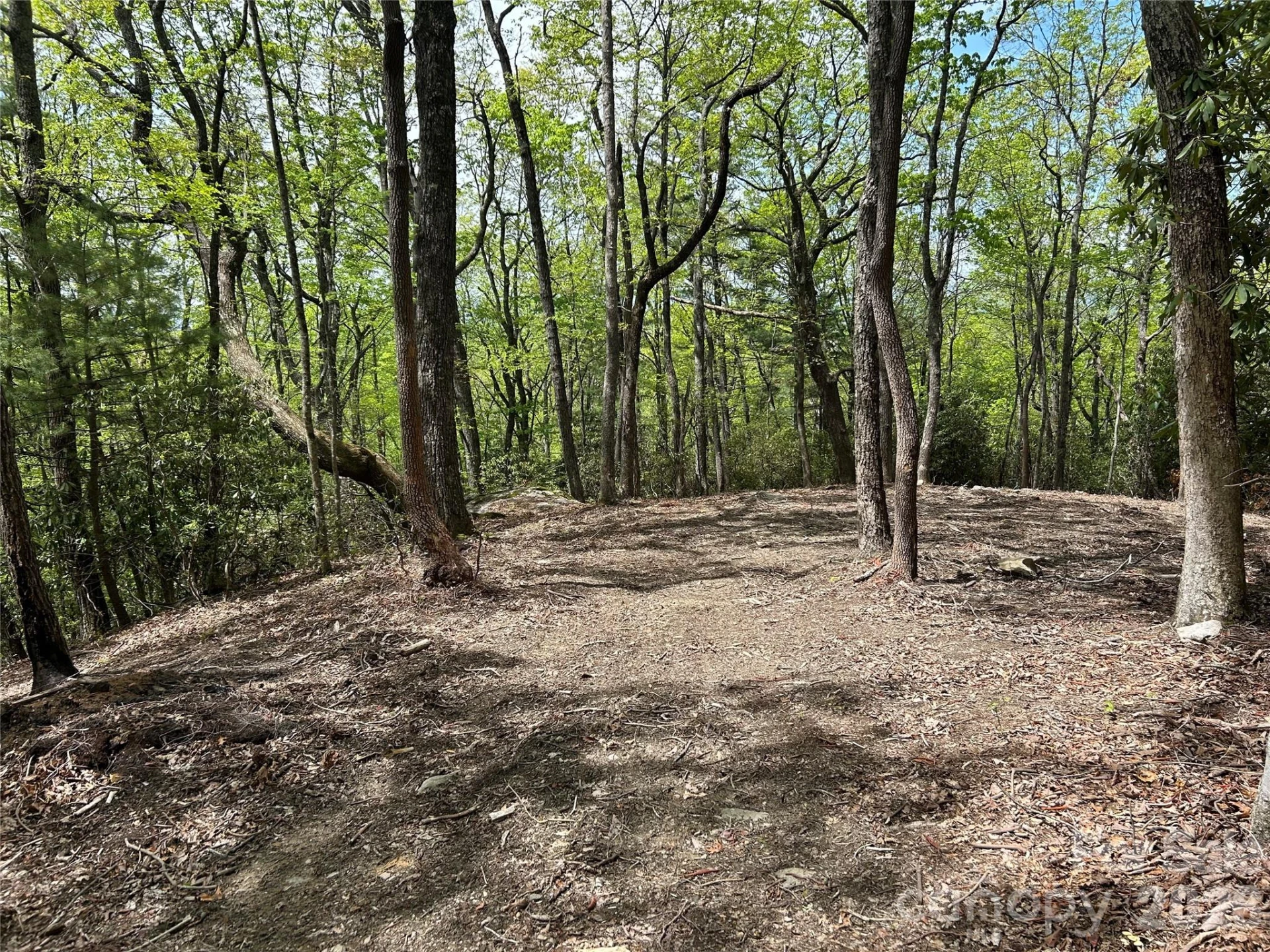 000 John Delk Road #2&6 - Photo 5