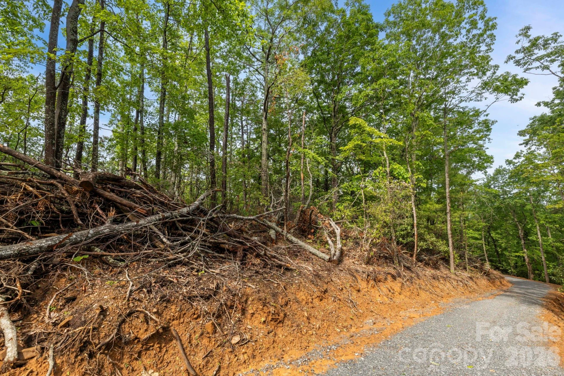 000 John Delk Road #2&6 - Photo 47