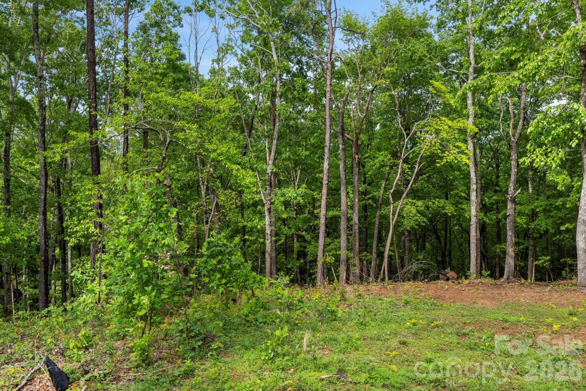 000 John Delk Road #2&6 - Photo 49