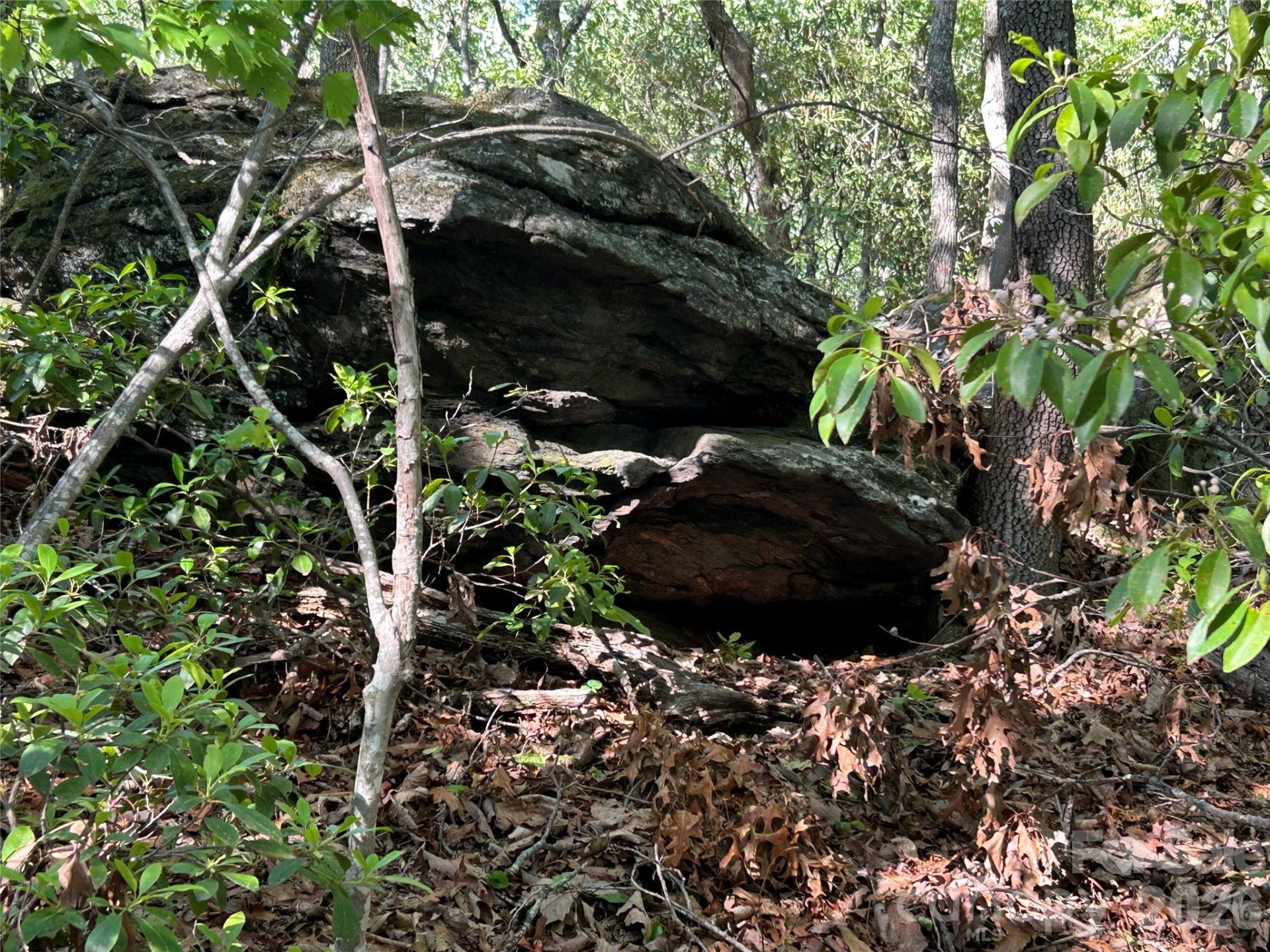 000 John Delk Road #2&6 - Photo 51