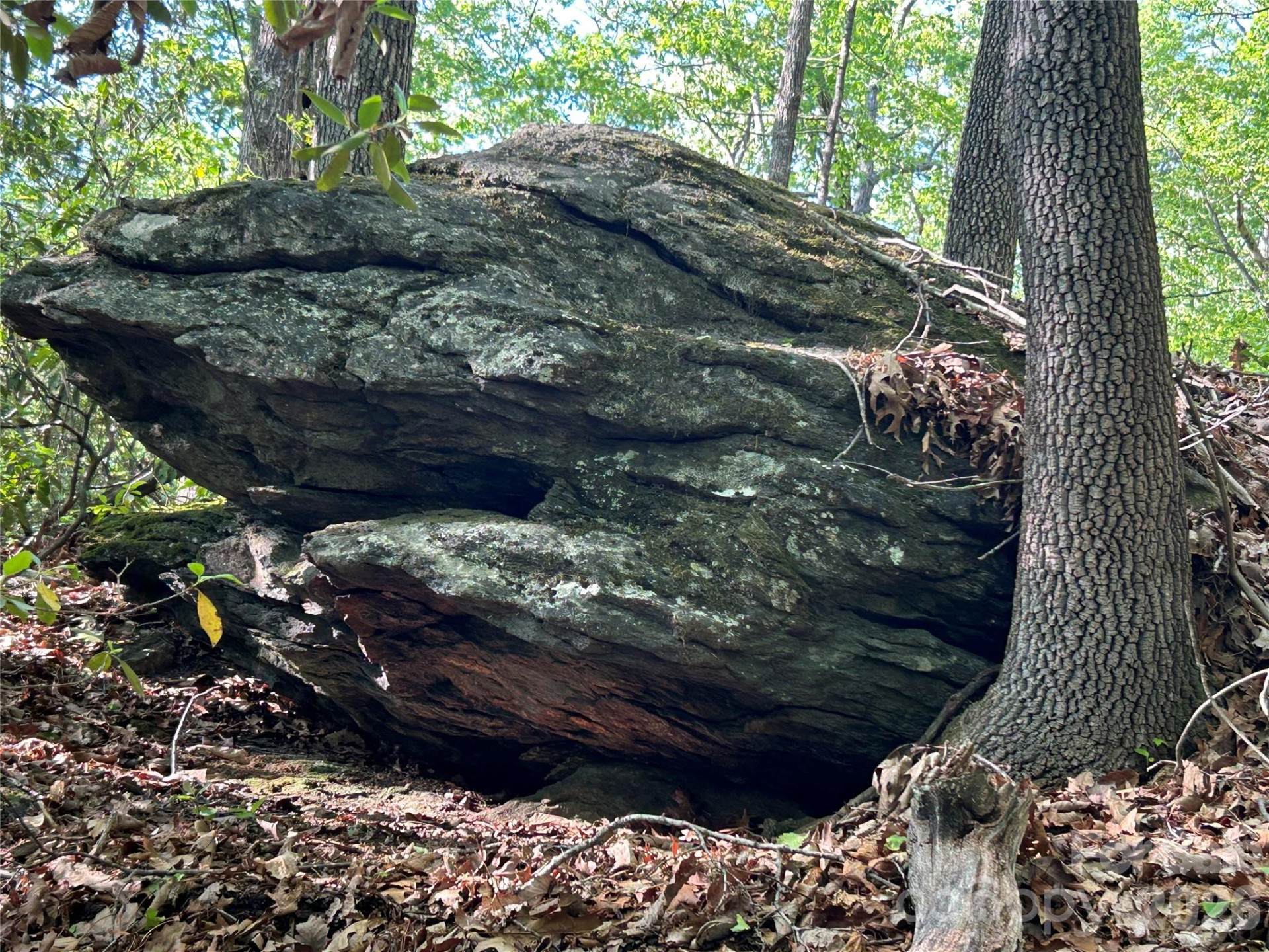 000 John Delk Road #2&6 - Photo 52