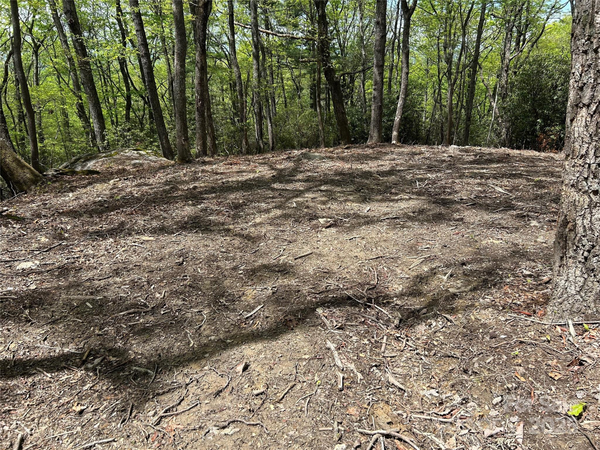 000 John Delk Road #2&6 - Photo 4