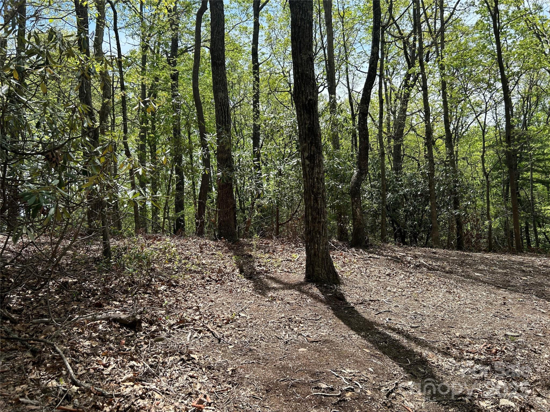 000 John Delk Road #2&6 - Photo 5