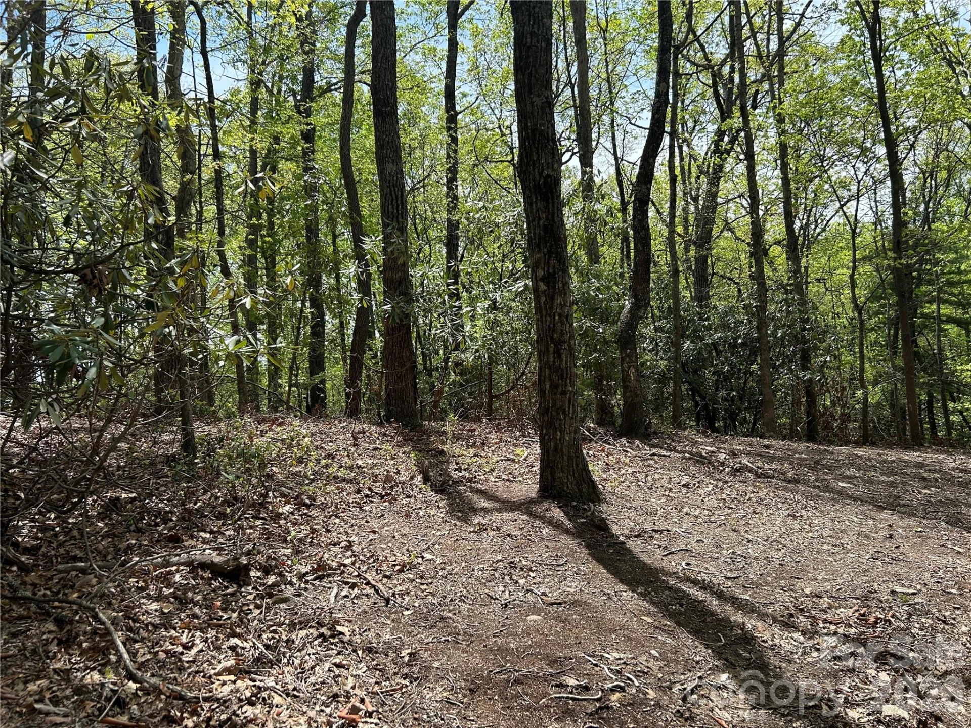 000 John Delk Road #2&6 - Photo 9