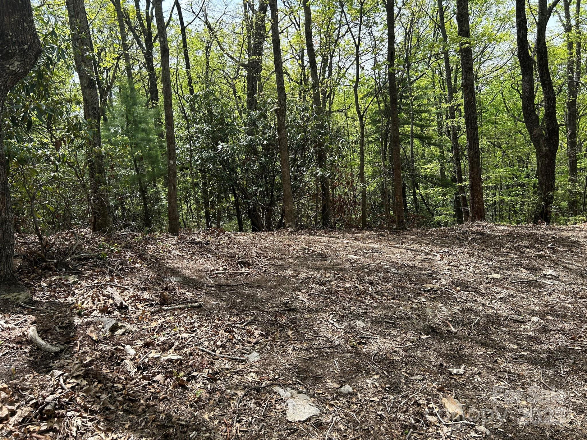 000 John Delk Road #2&6 - Photo 6