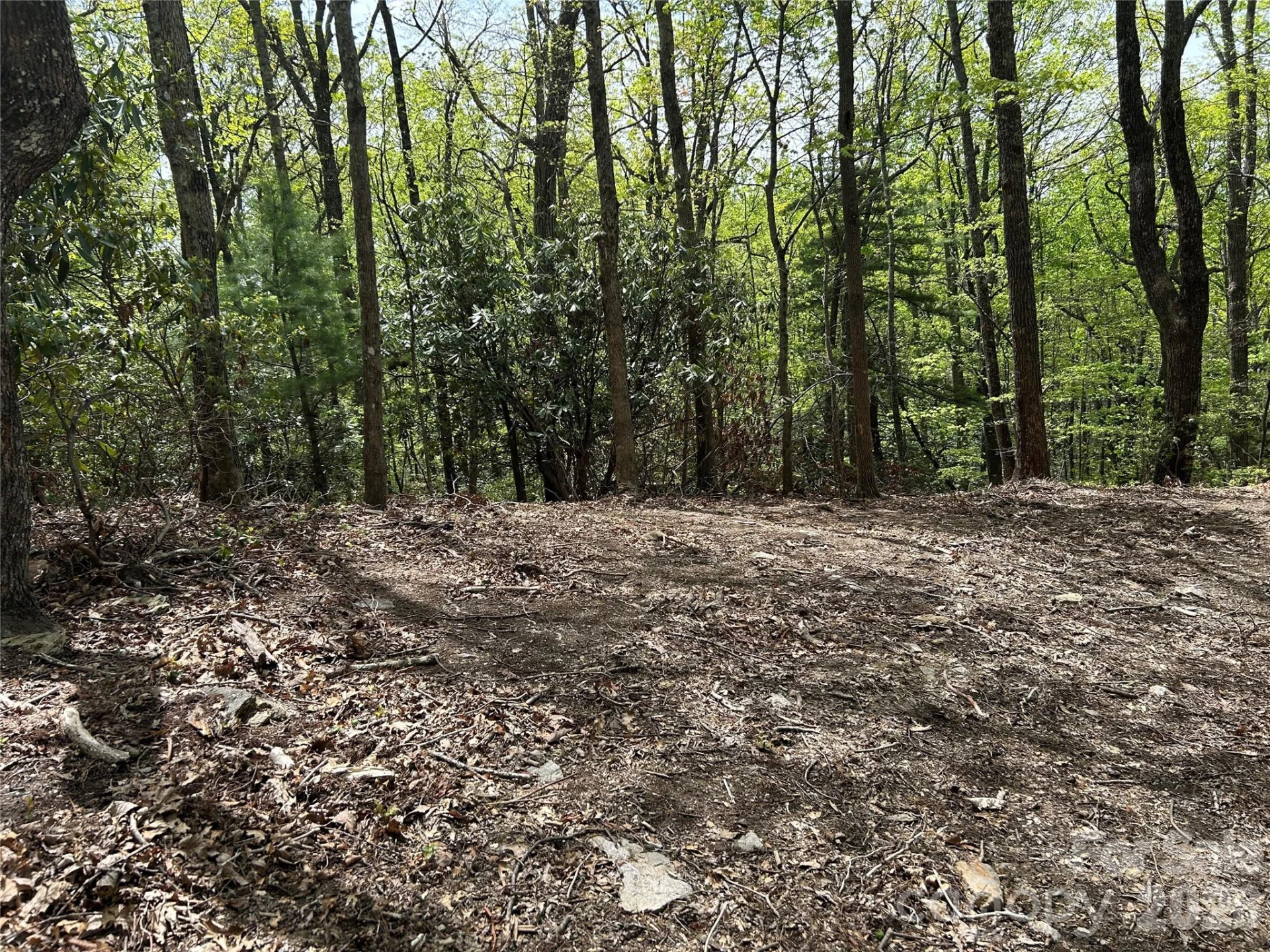 000 John Delk Road #2&6 - Photo 11