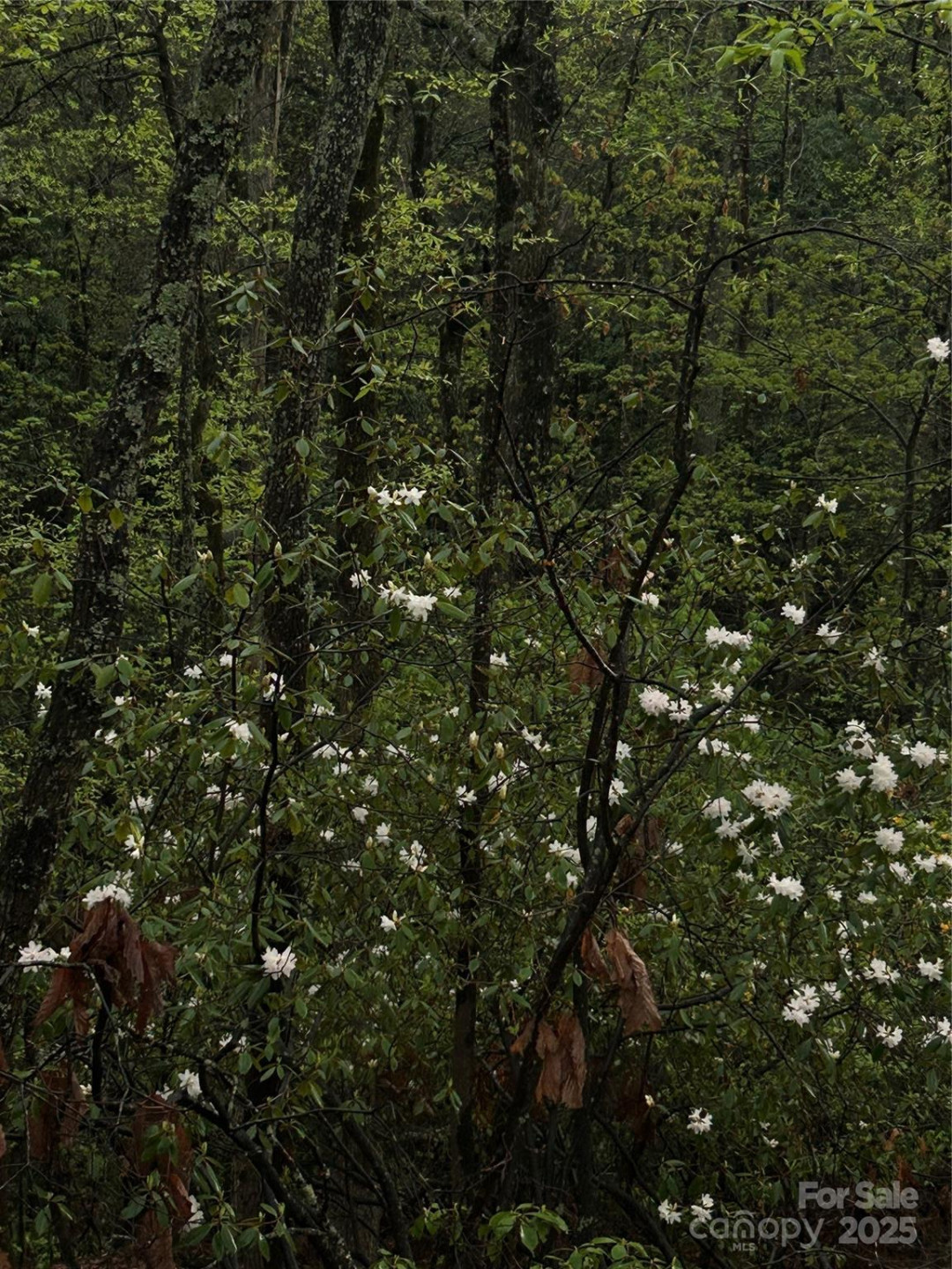 000 John Delk Road #2&6 - Photo 7