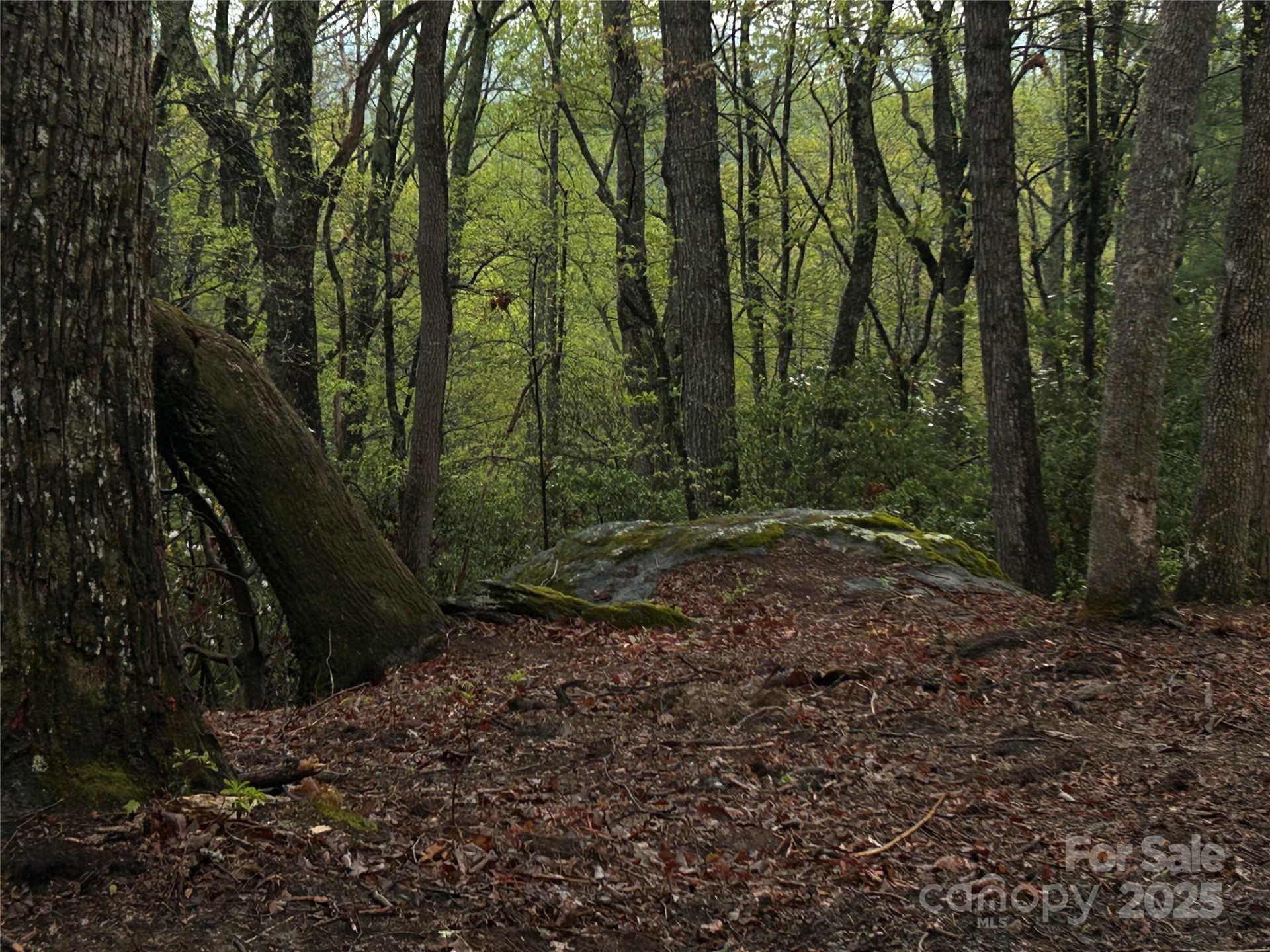 000 John Delk Road #2&6 - Photo 8