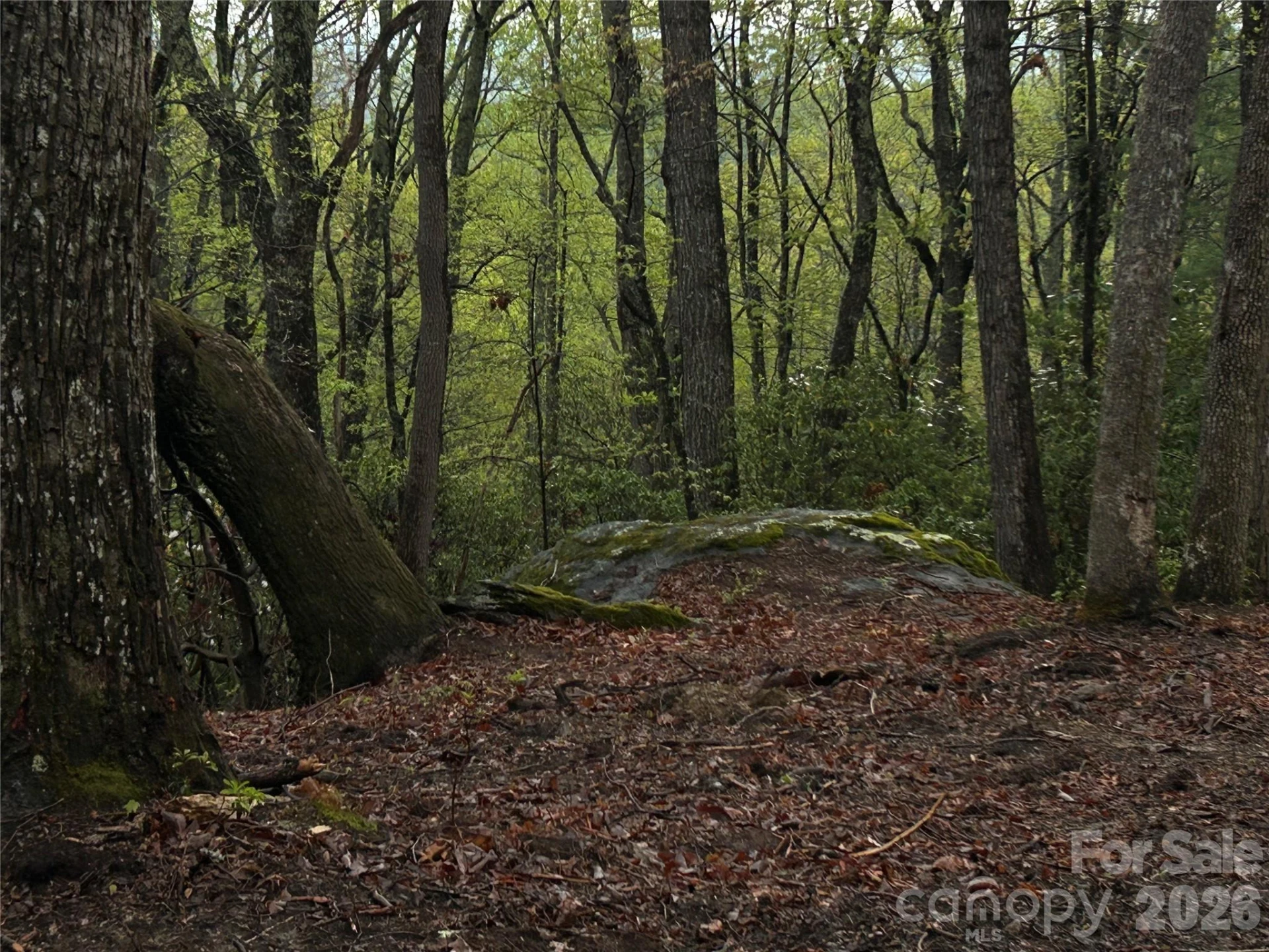 000 John Delk Road #2&6 - Photo 15