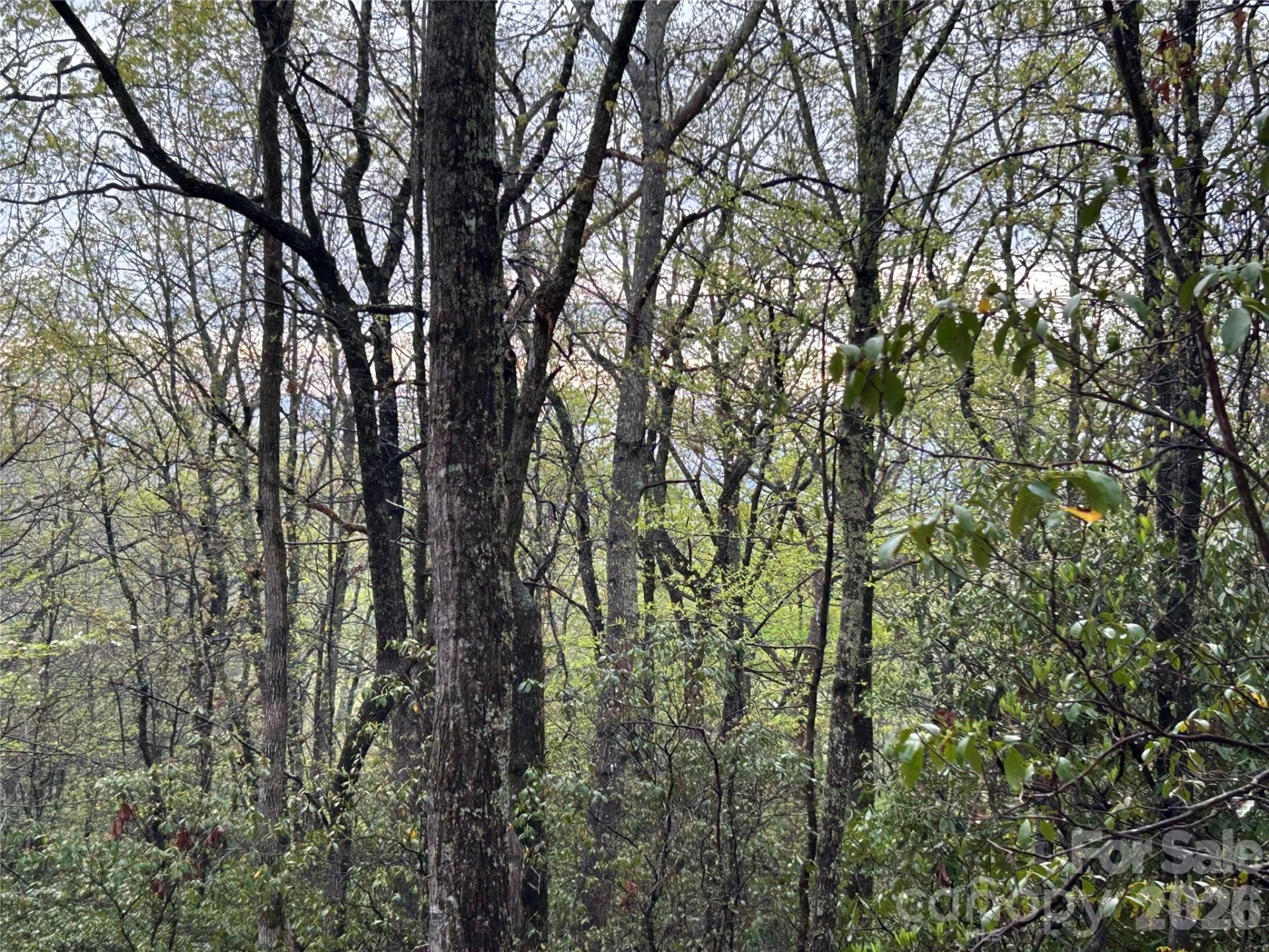 000 John Delk Road #2&6 - Photo 17