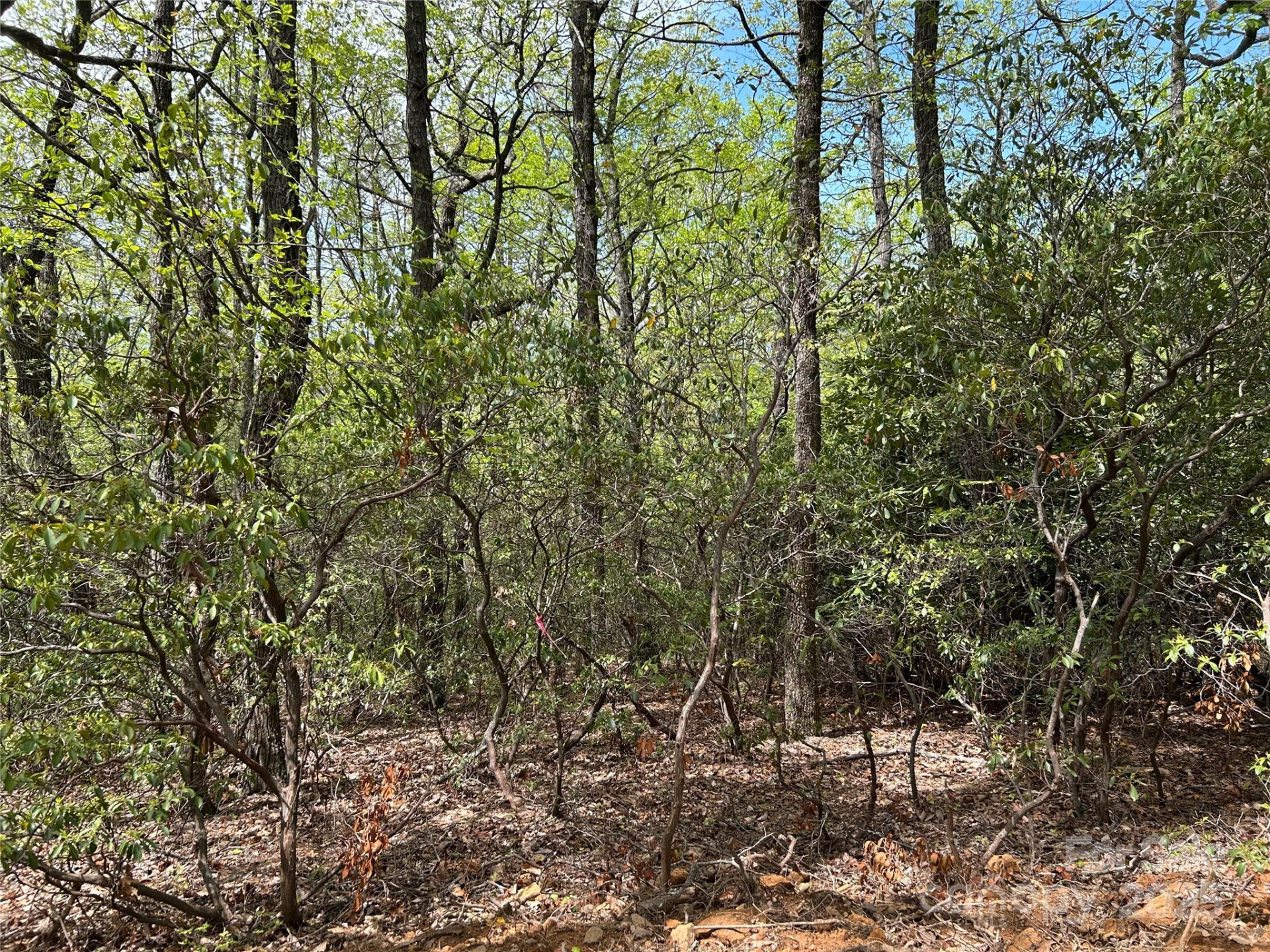 000 John Delk Road #3 - Photo 2