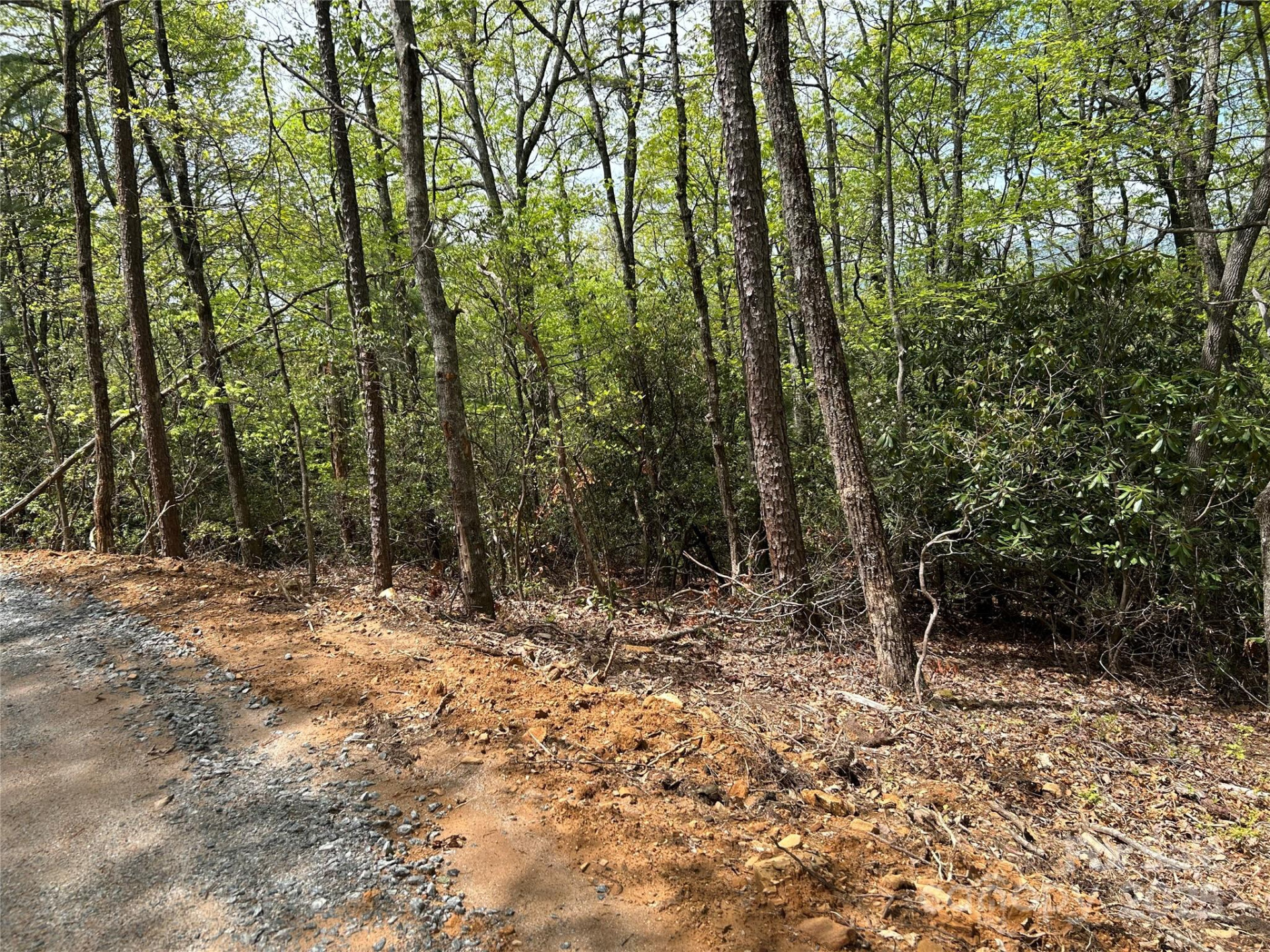 000 John Delk Road #3 - Photo 3