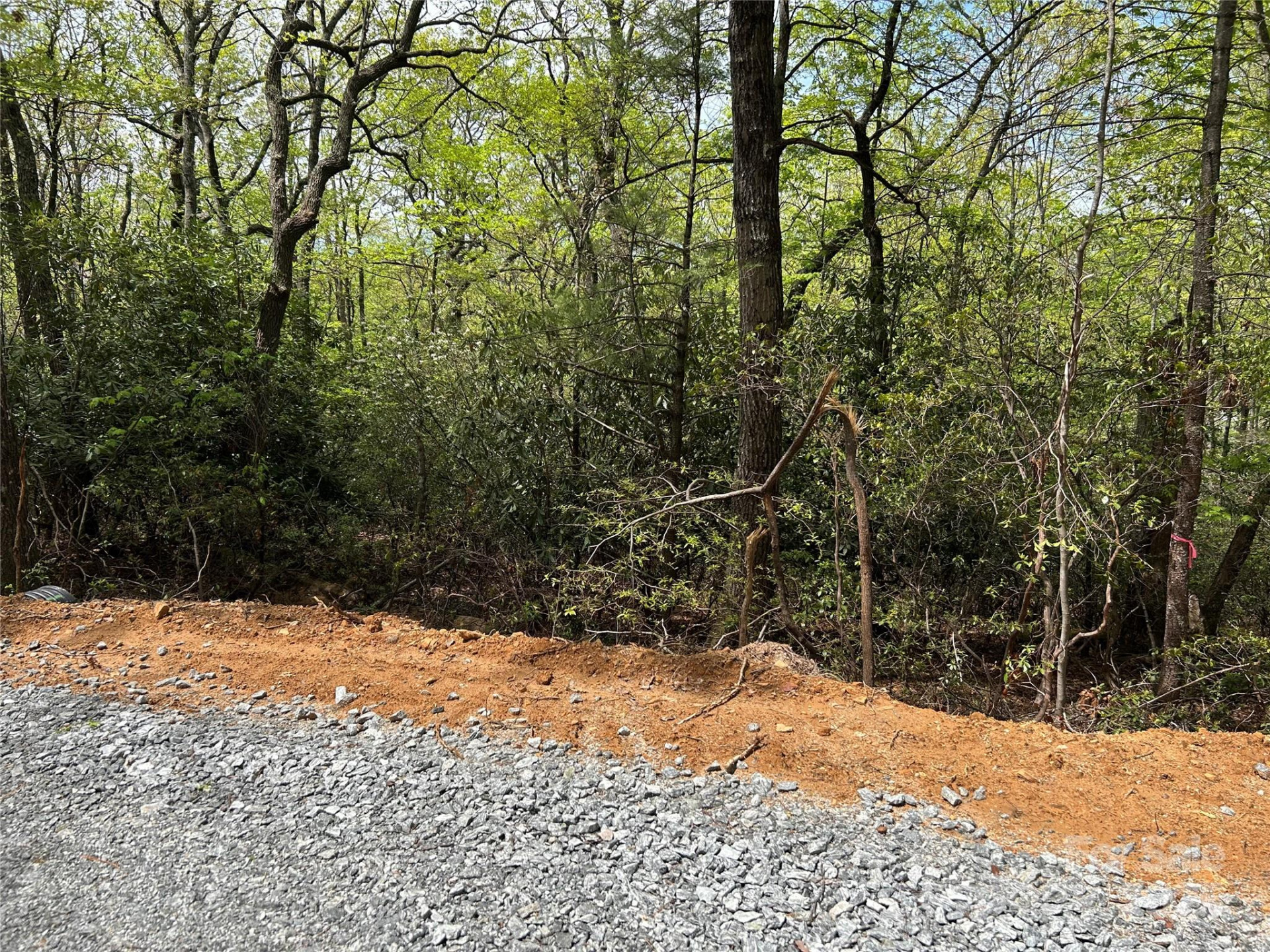 000 John Delk Road #3 - Photo 4