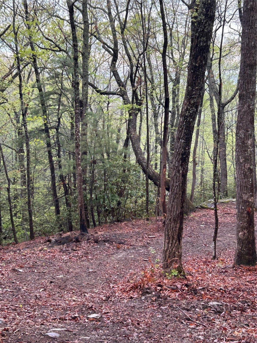 000 John Delk Road #3 - Photo 6