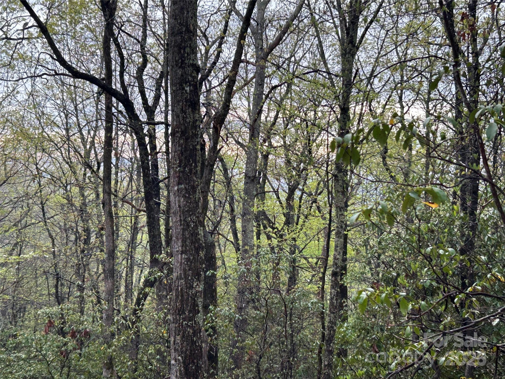 000 John Delk Road #3 - Photo 8