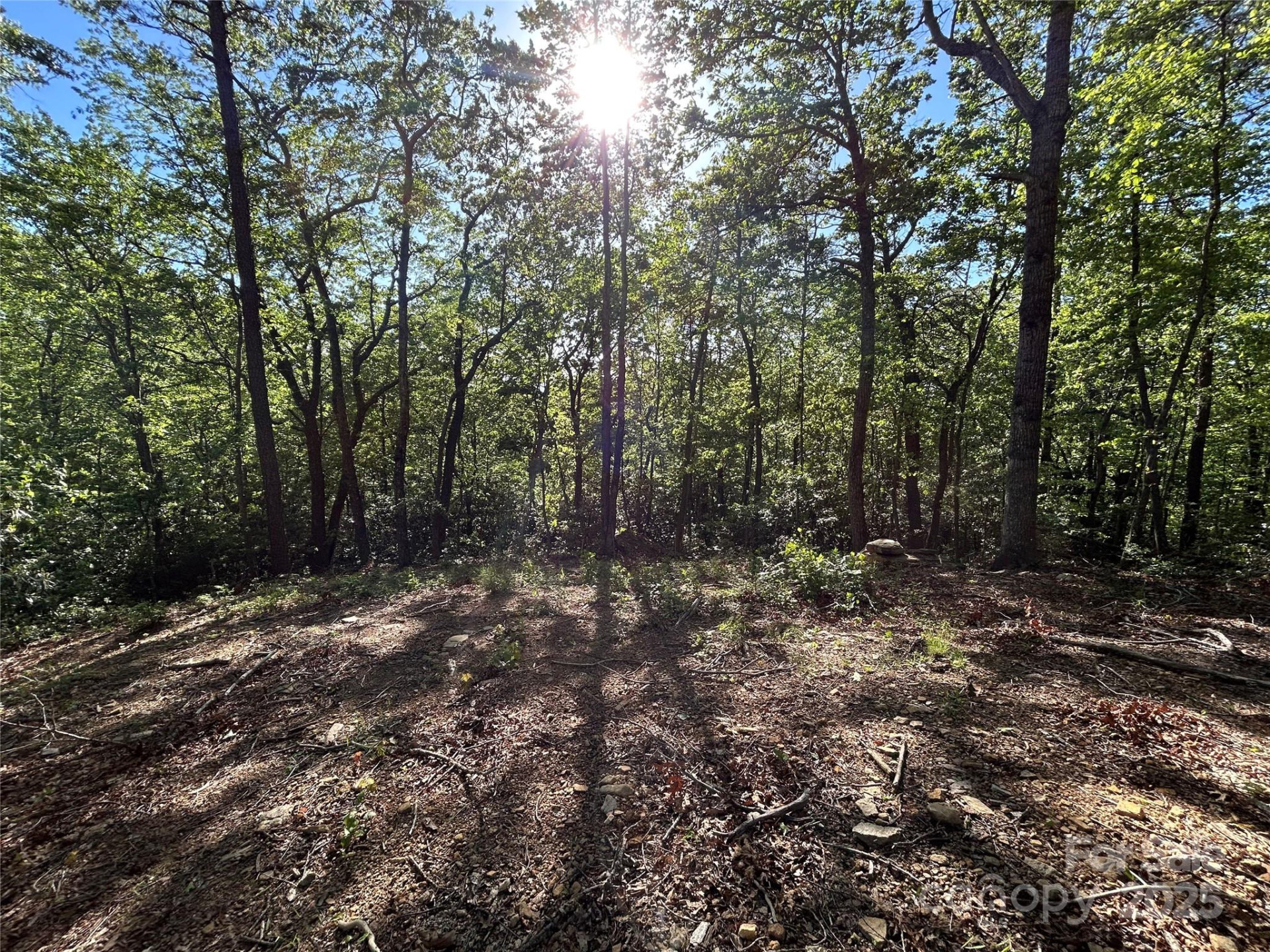 000 Jacks Paw Lane #8 - Photo 2