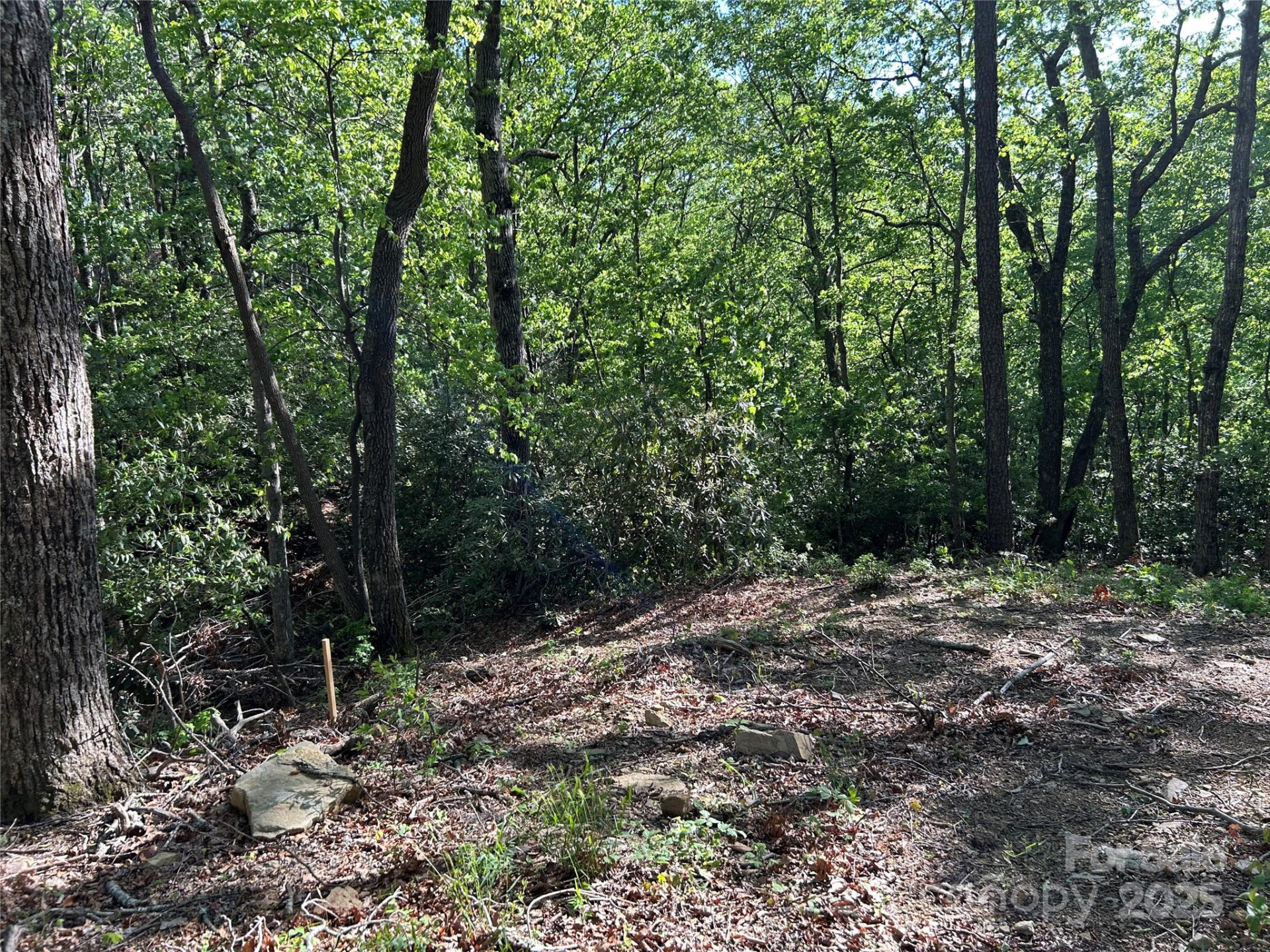 000 Jacks Paw Lane #8 - Photo 12
