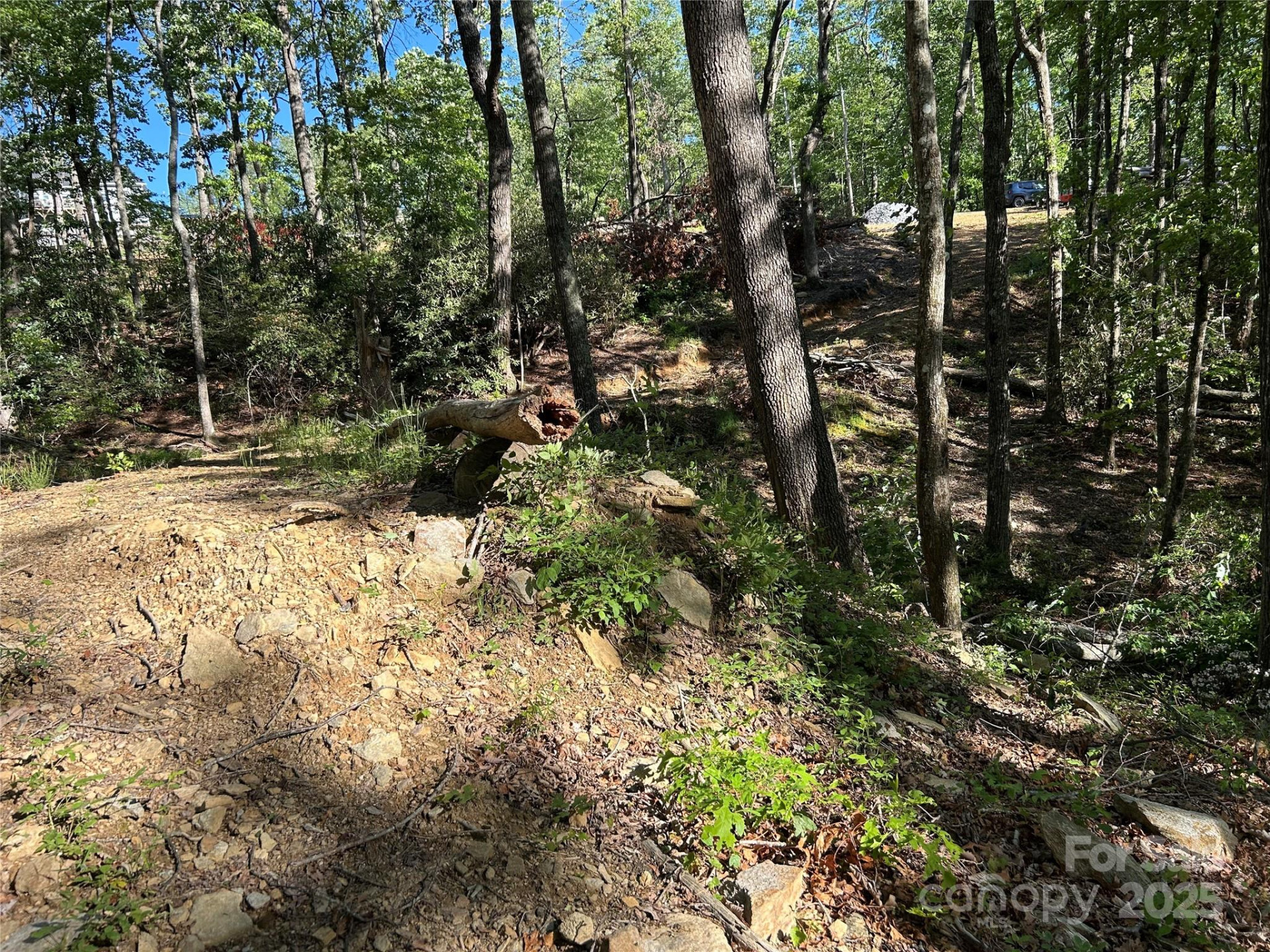 000 Jacks Paw Lane #8 - Photo 3