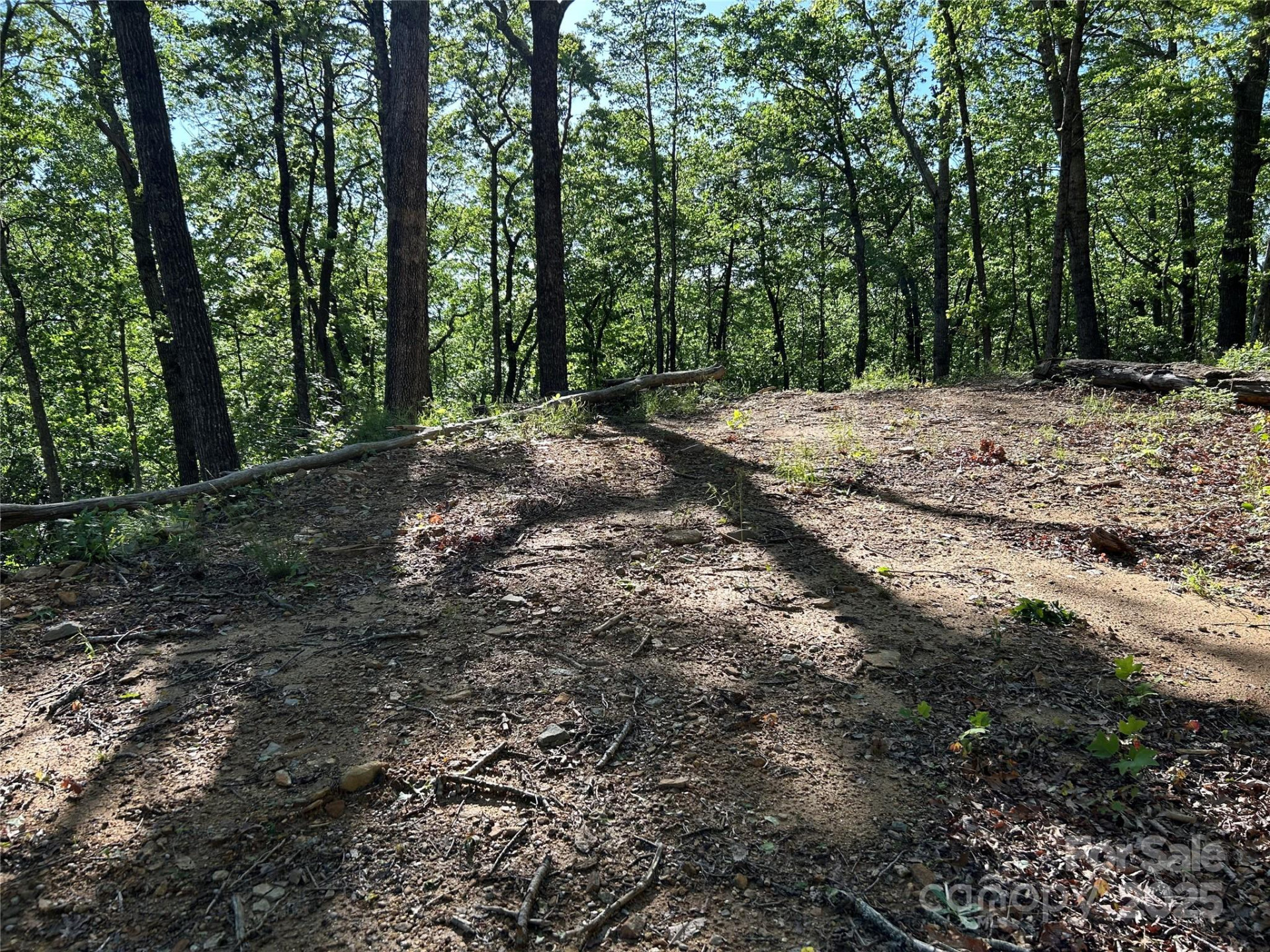 000 Jacks Paw Lane #8 - Photo 4