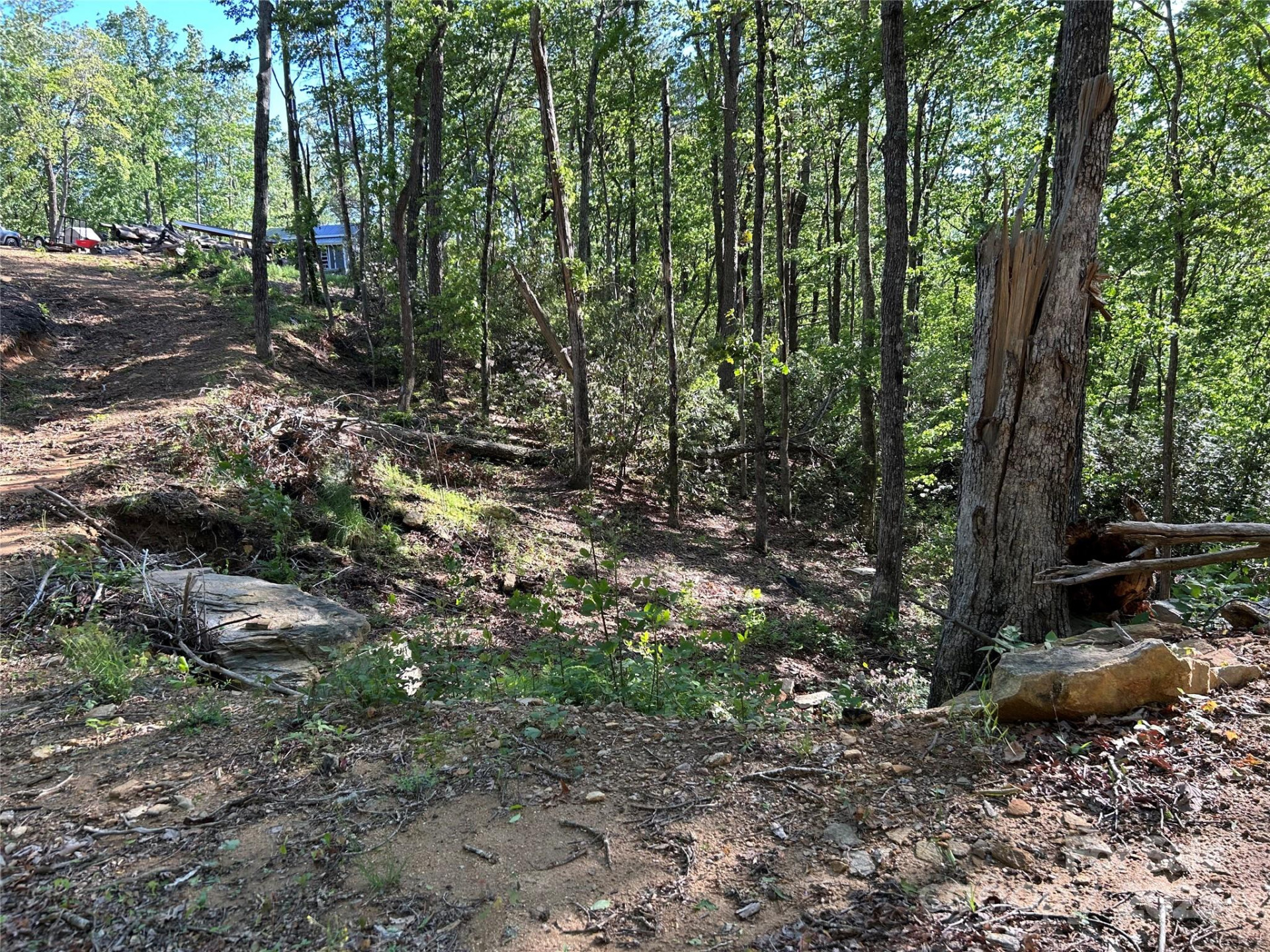 000 Jacks Paw Lane #8 - Photo 6