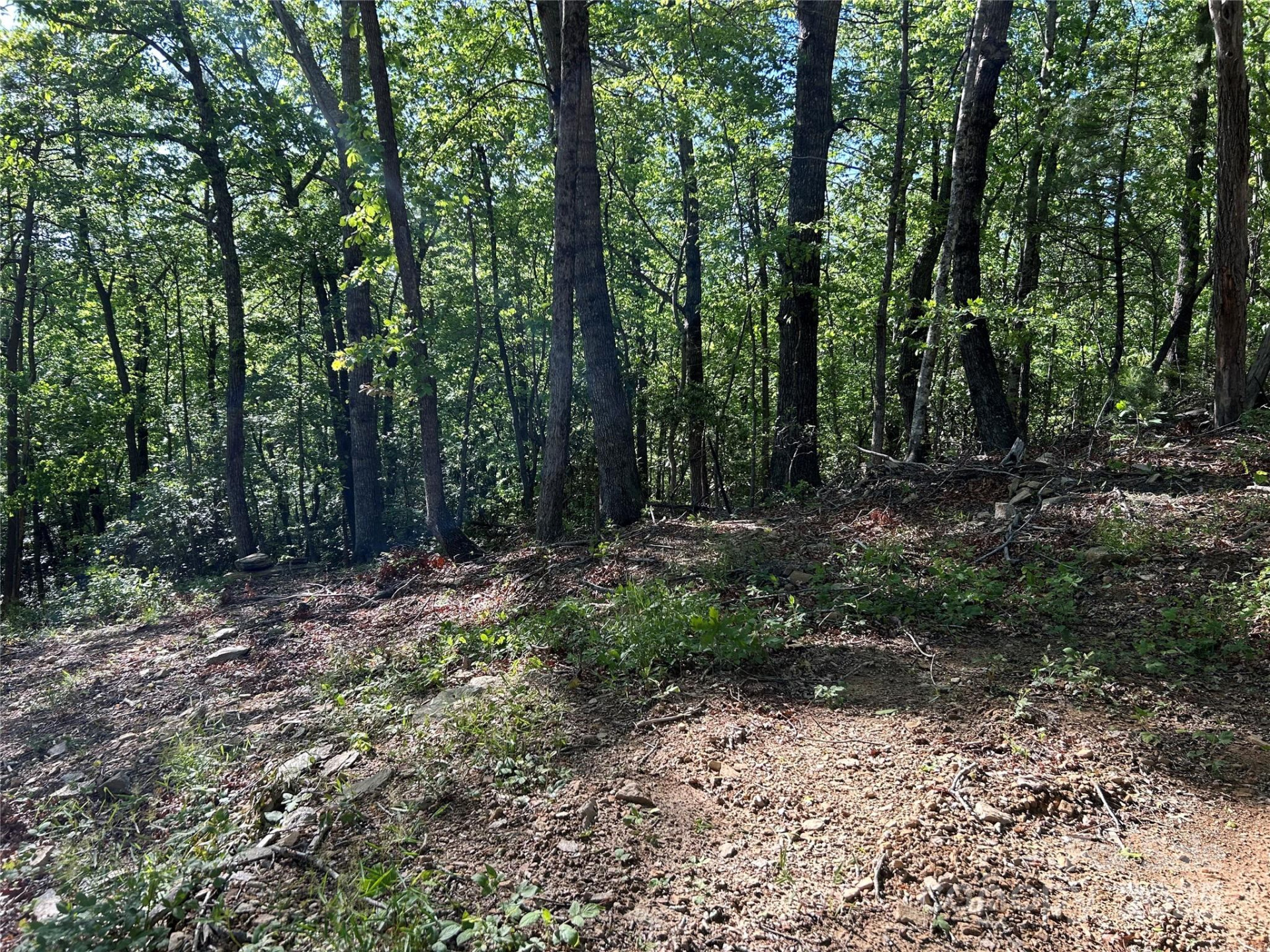 000 Jacks Paw Lane #8 - Photo 7