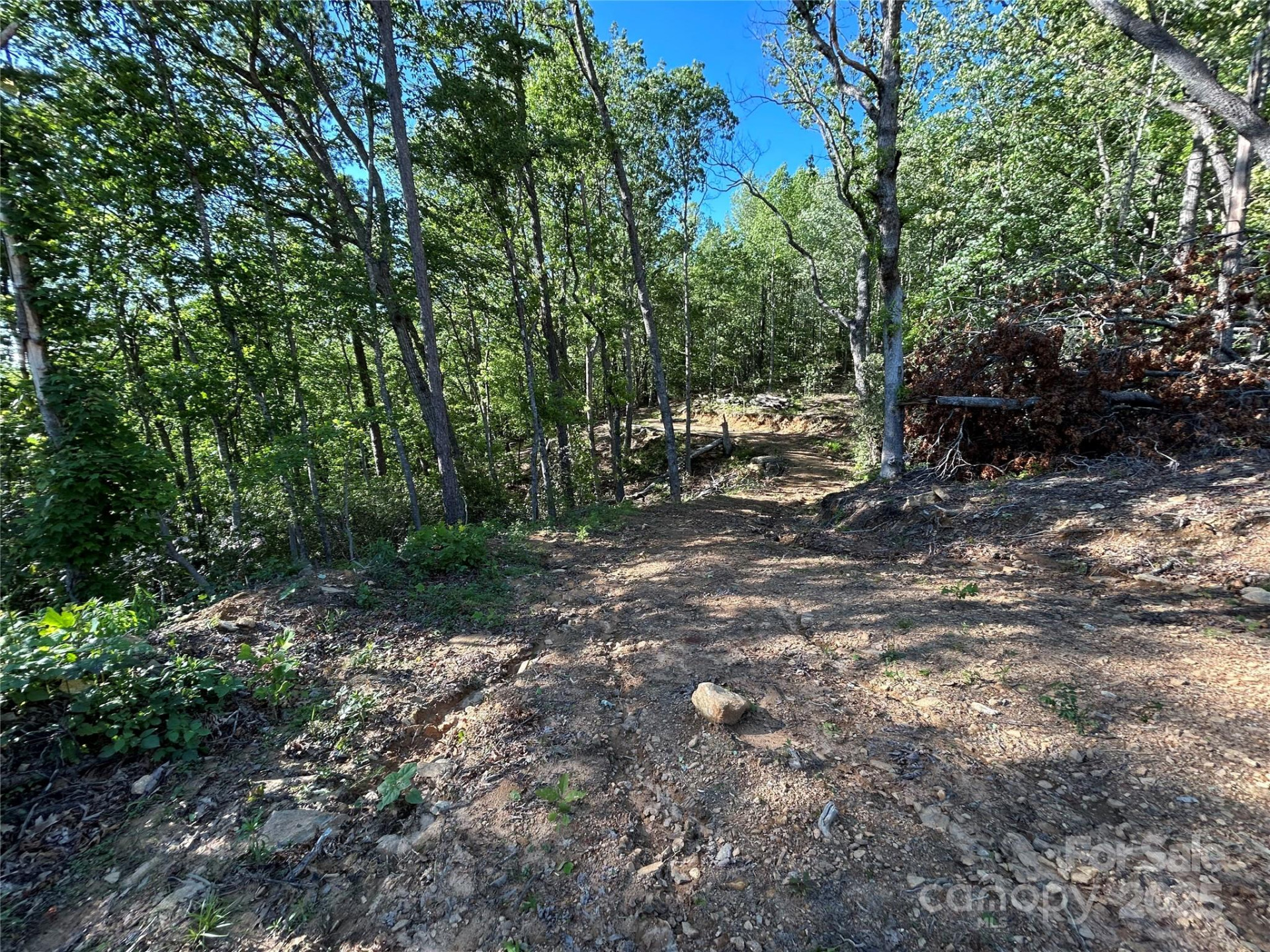 000 Jacks Paw Lane #8 - Photo 9