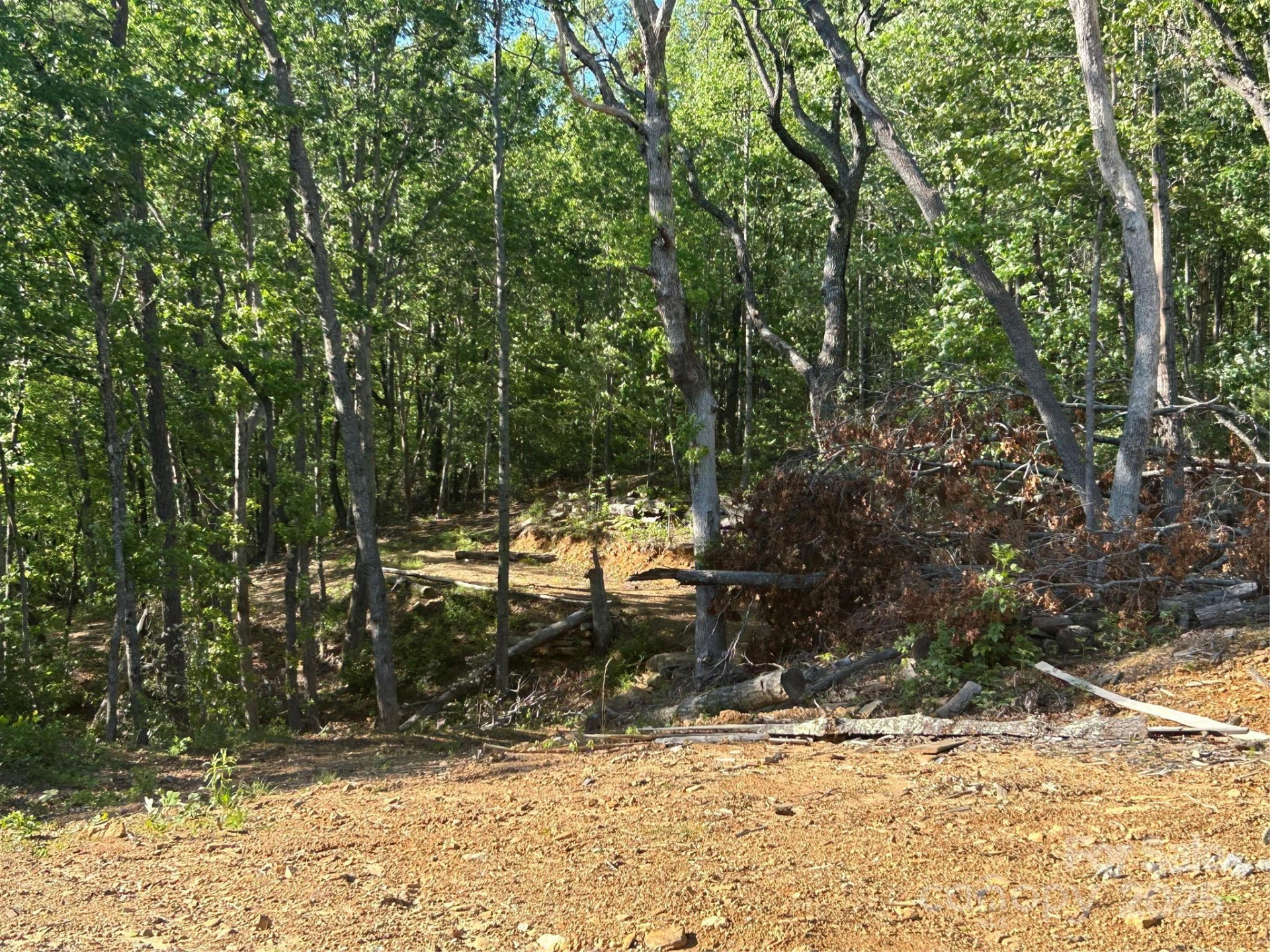 000 Jacks Paw Lane #8 - Photo 10