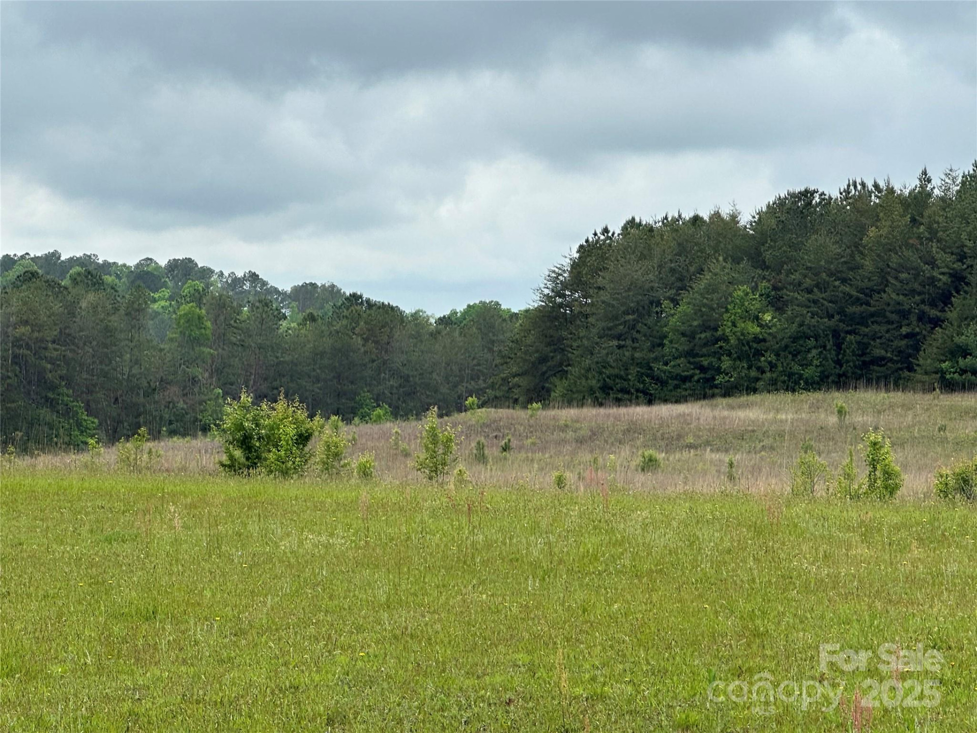 0 Thompson Road - Photo 2