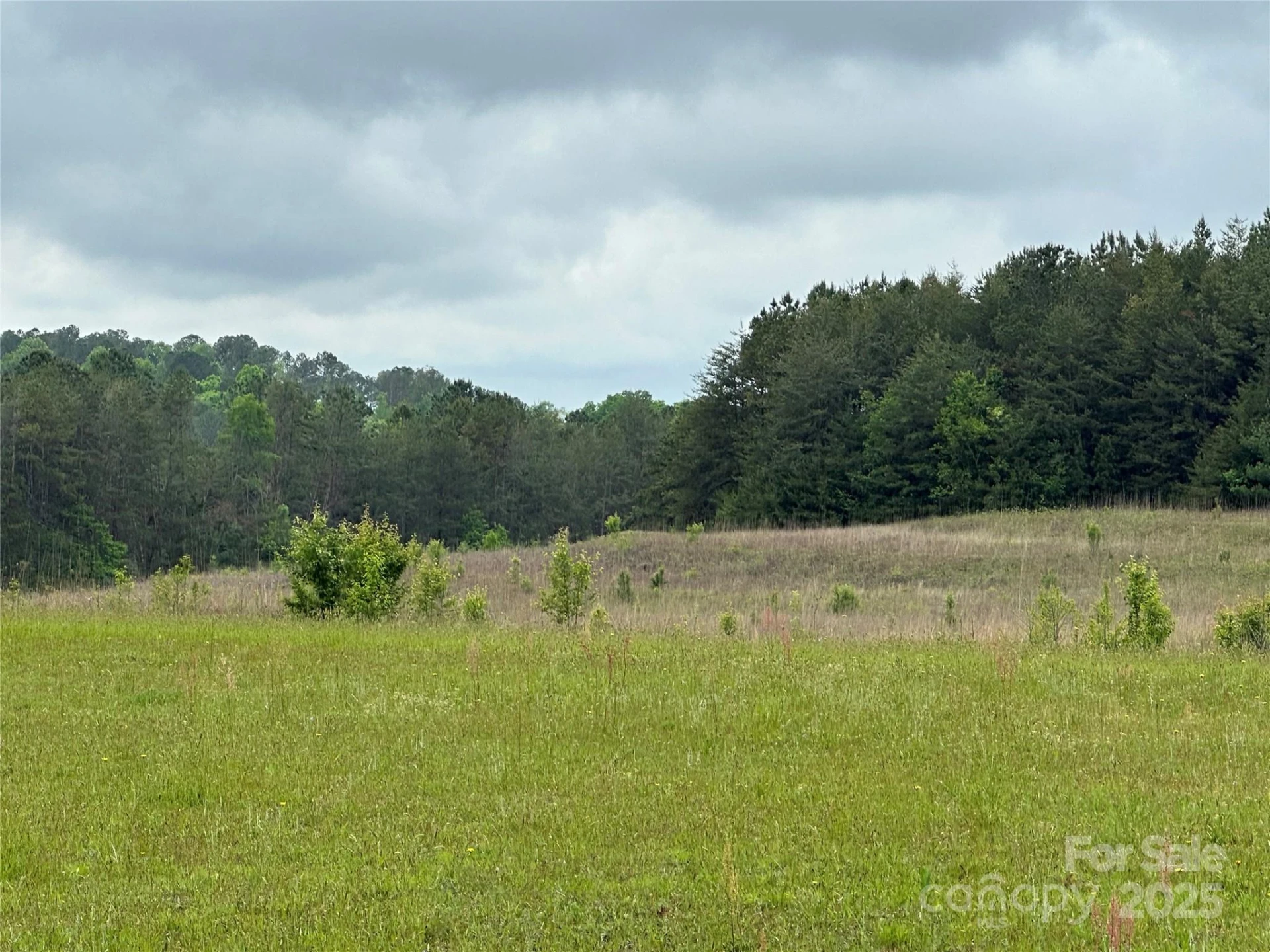0 Thompson Road - Photo 2