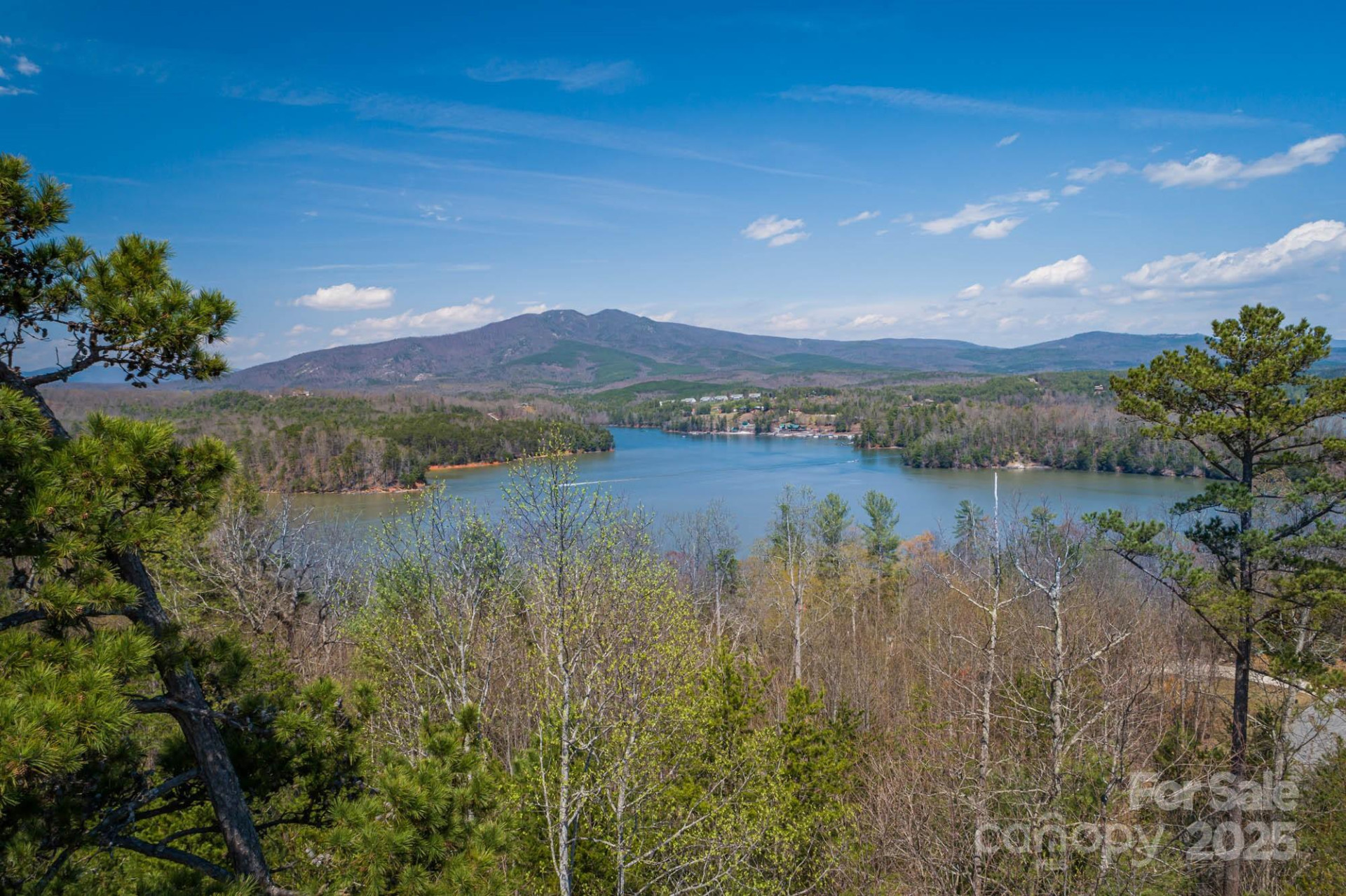 665 Harborside Drive #239 - Photo 8