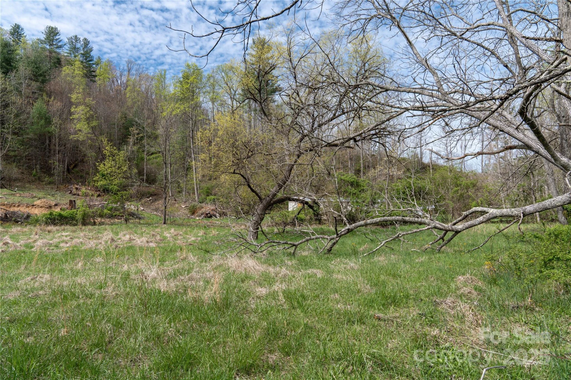 1408 Hamburg Road - Photo 12
