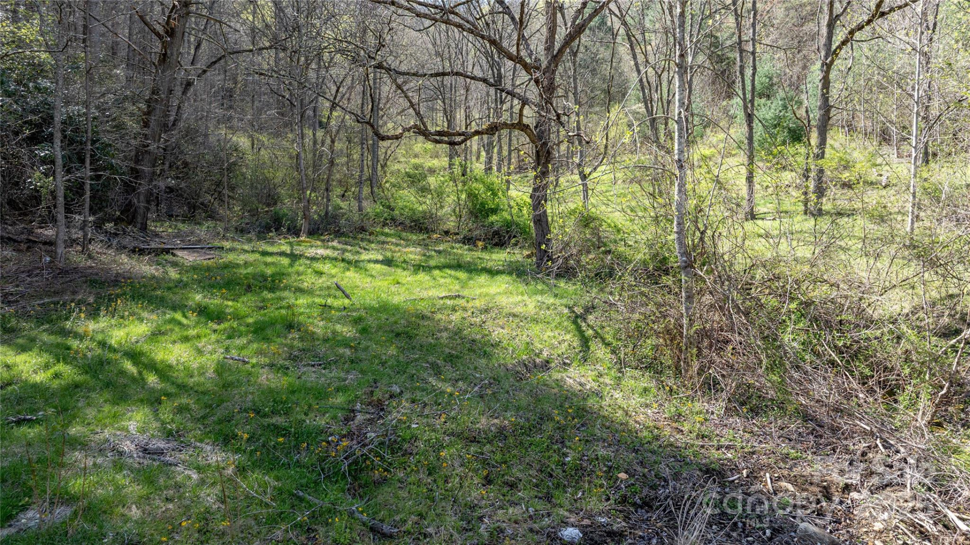 1408 Hamburg Road - Photo 13