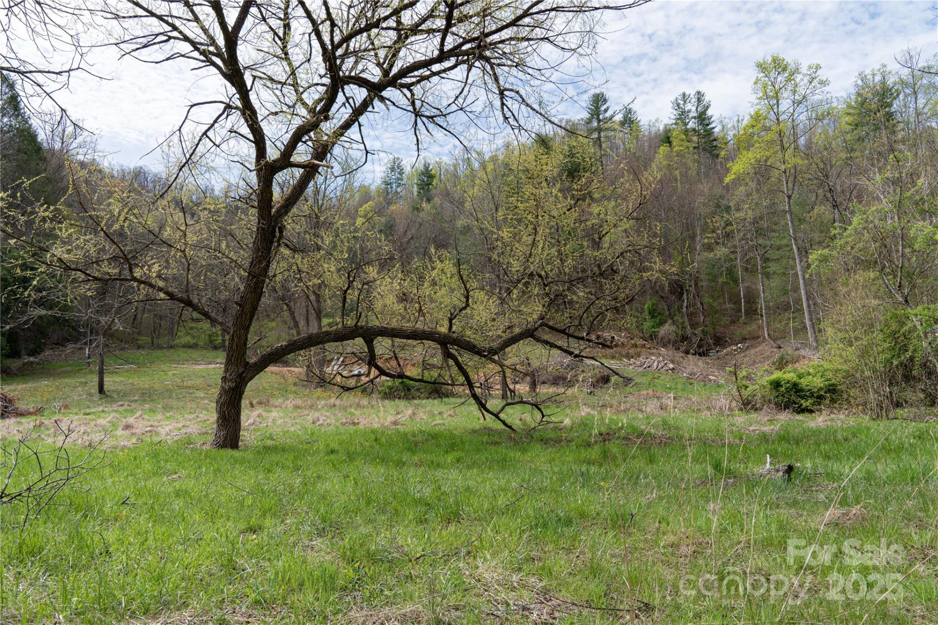 1408 Hamburg Road - Photo 3