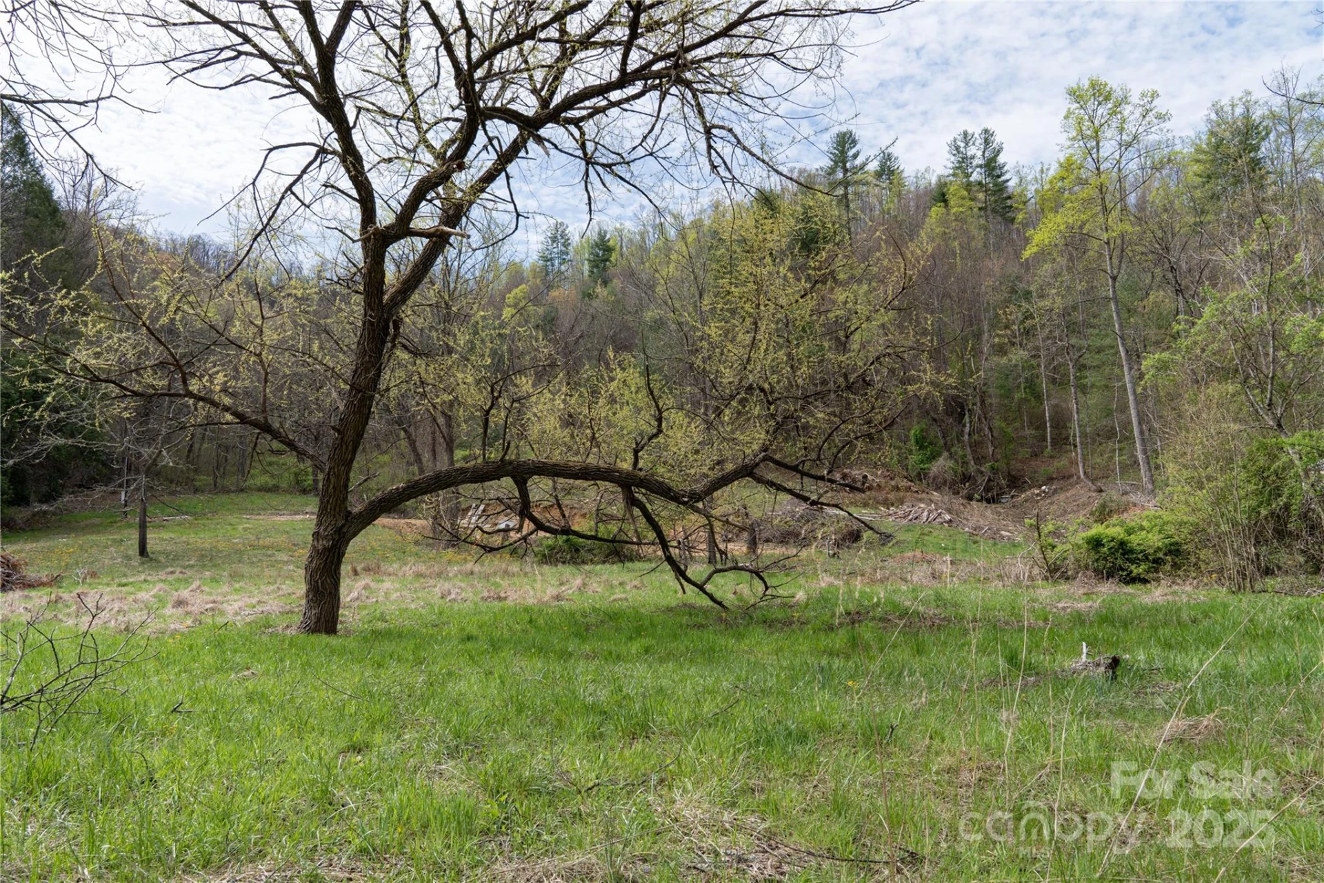 1408 Hamburg Road - Photo 3