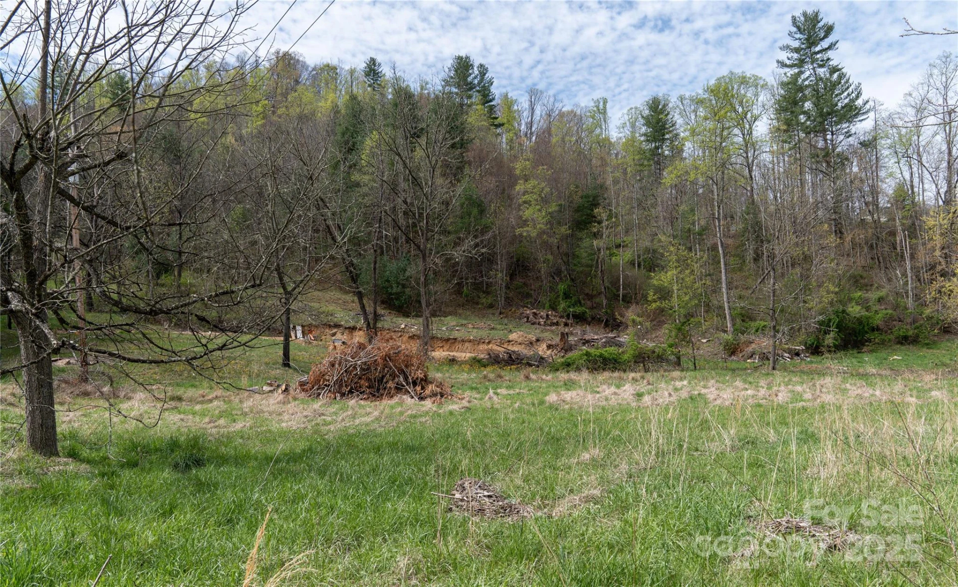 1408 Hamburg Road - Photo 4